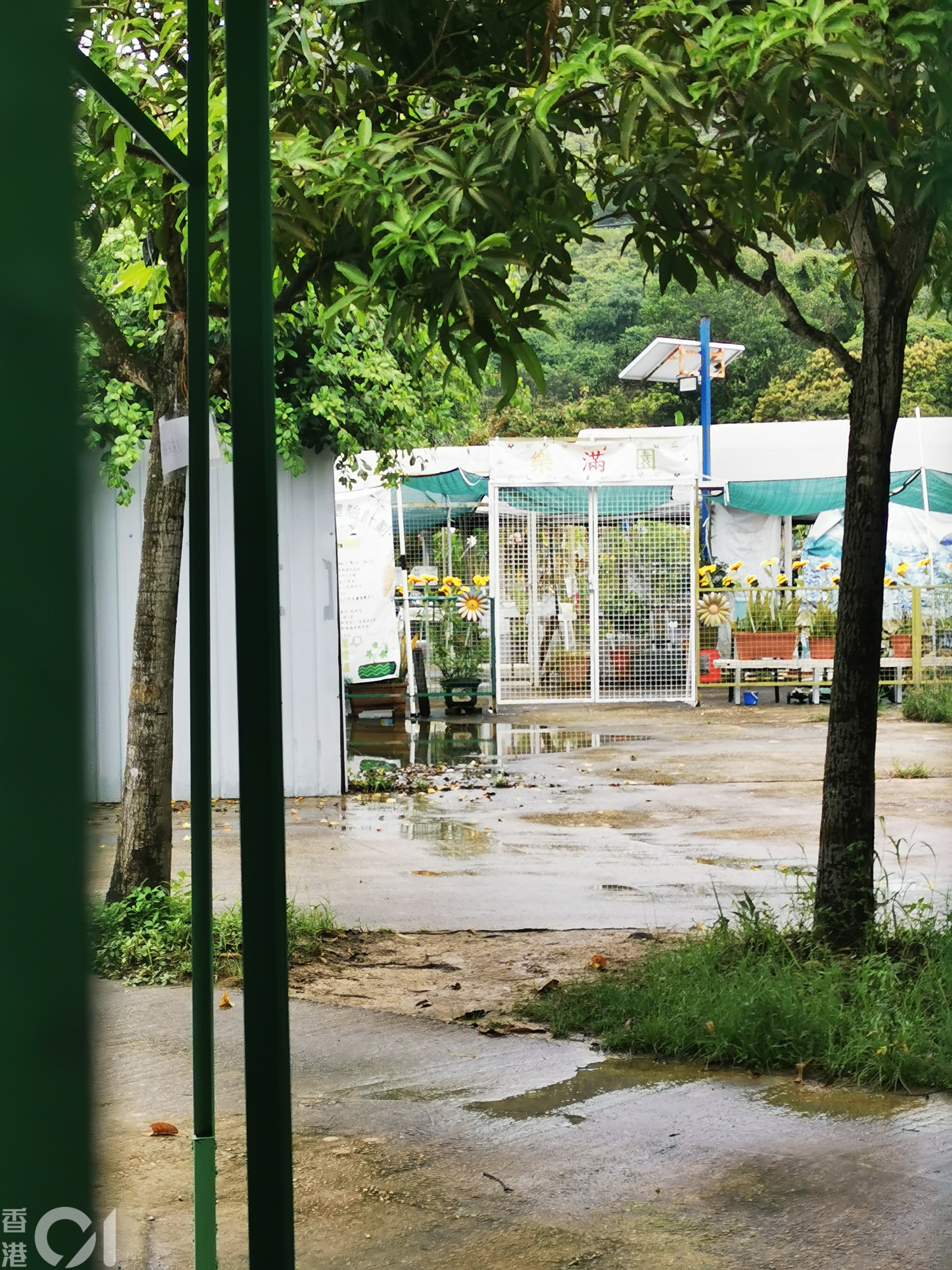 愛協發現農莊內養兔環境須予改善。(林振華攝)