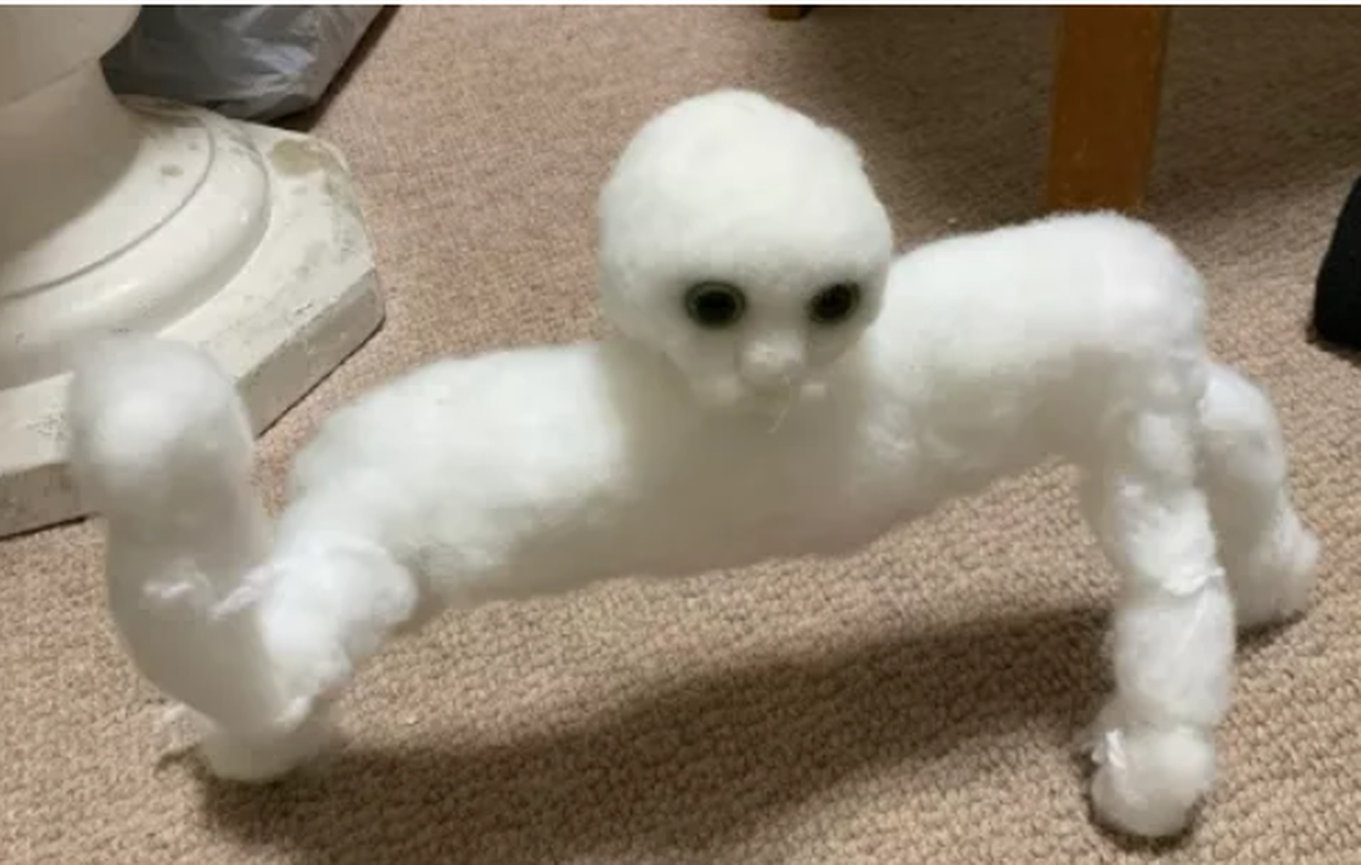 日女貓貓手作慘變地獄生物仲醜到上電視卻因此掀起一場感人熱潮