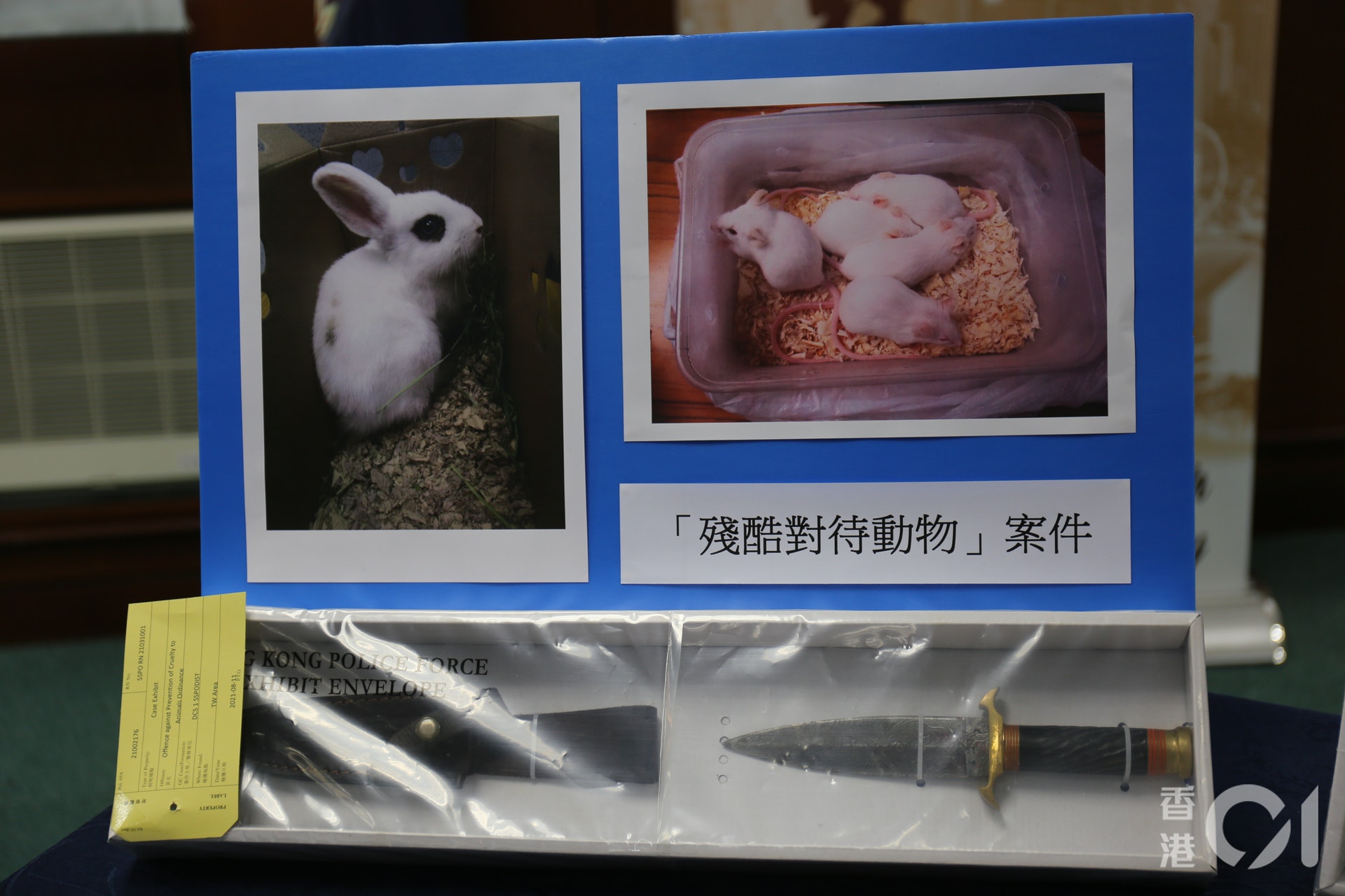 警方以涉嫌「殘酷對待動物」拘捕19歲男子,並在他身上搜出一把匕首,以及獻祭用的1隻白兔仔及5隻白老鼠。(羅敏妍攝) 警方以涉嫌「殘酷對待動物」拘捕19歲男子,並在他身上搜出一把匕首,以及獻祭用的1隻白兔仔及5隻白老鼠。(羅敏妍攝)