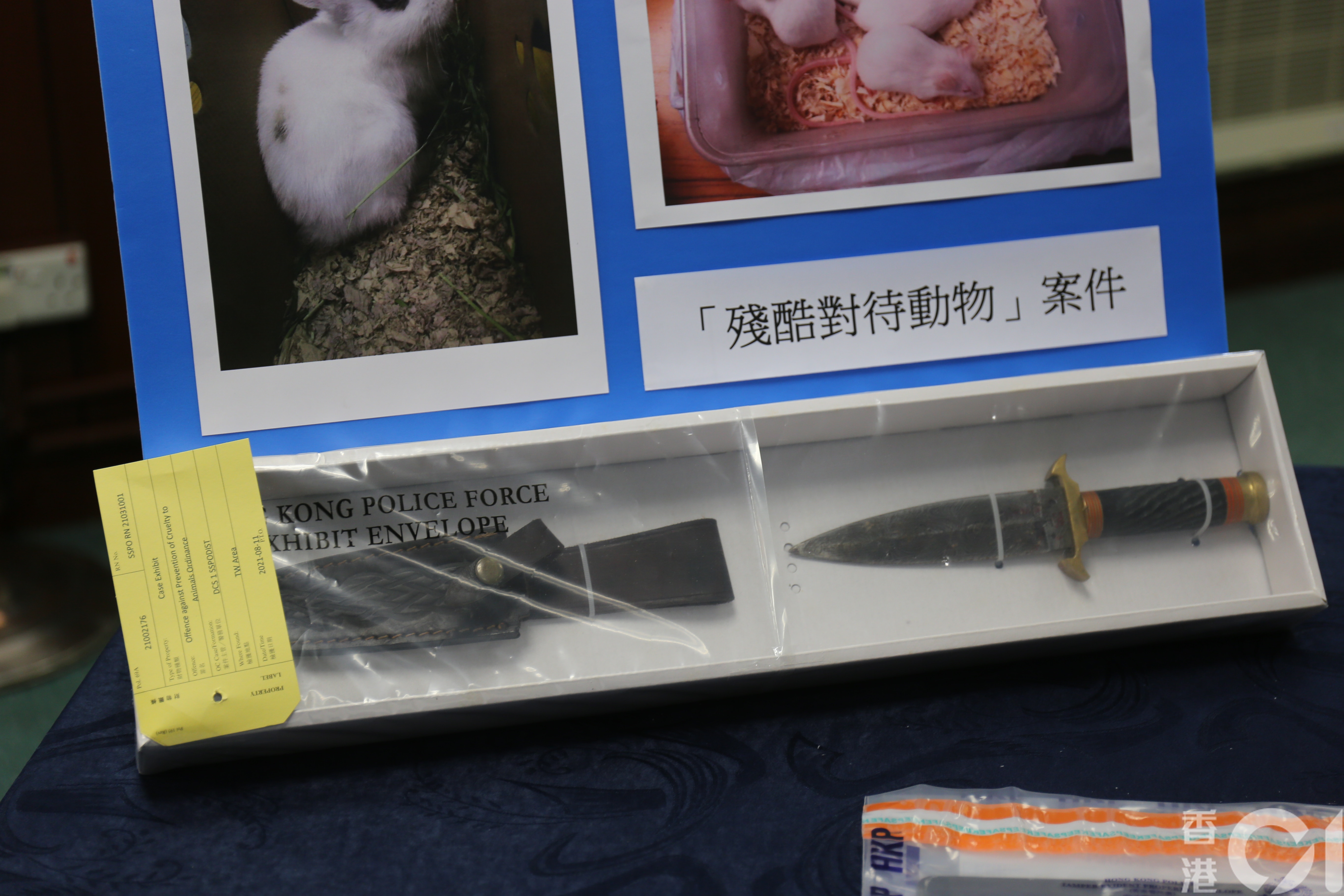 警方以涉嫌「殘酷對待動物」拘捕19歲男子，並在他身上搜出一把匕首，以及獻祭用的1隻白兔仔及5隻白老鼠。（羅敏妍攝）