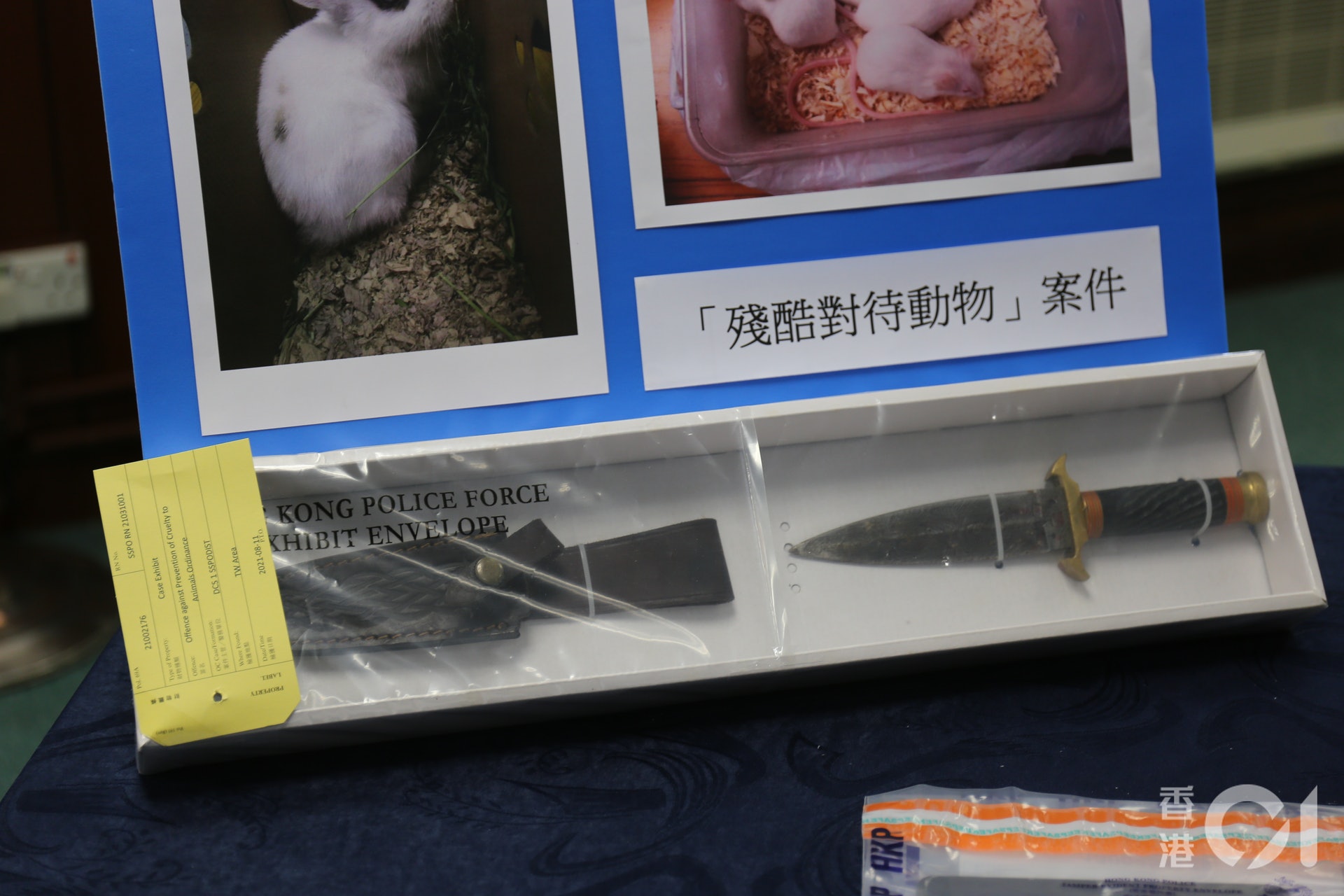 警方以涉嫌「殘酷對待動物」拘捕19歲男子,並在他身上搜出一把匕首,以及獻祭用的1隻白兔仔及5隻白老鼠。(羅敏妍攝) 警方以涉嫌「殘酷對待動物」拘捕19歲男子,並在他身上搜出一把匕首,以及獻祭用的1隻白兔仔及5隻白老鼠。(羅敏妍攝)