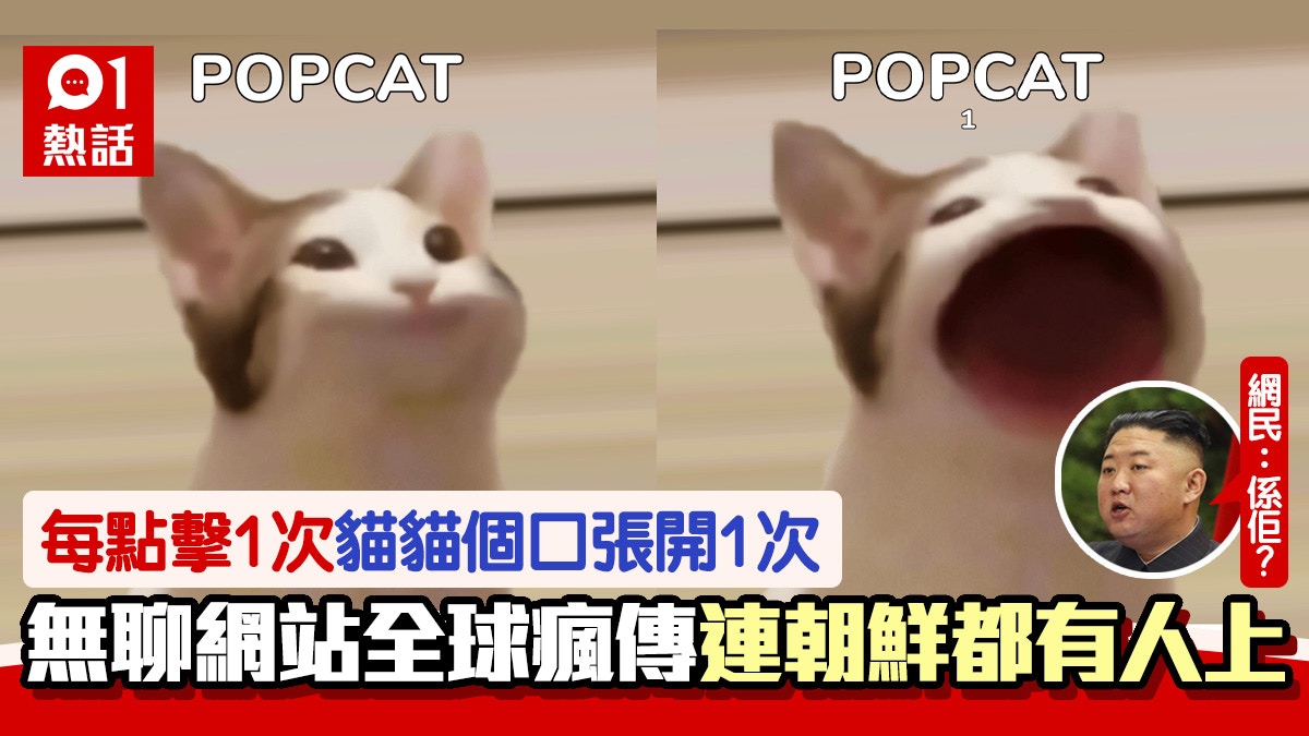 POPCAT｜撳貓咪大賽爆紅勁吸316億次點擊呢個國家排榜尾惹關注
