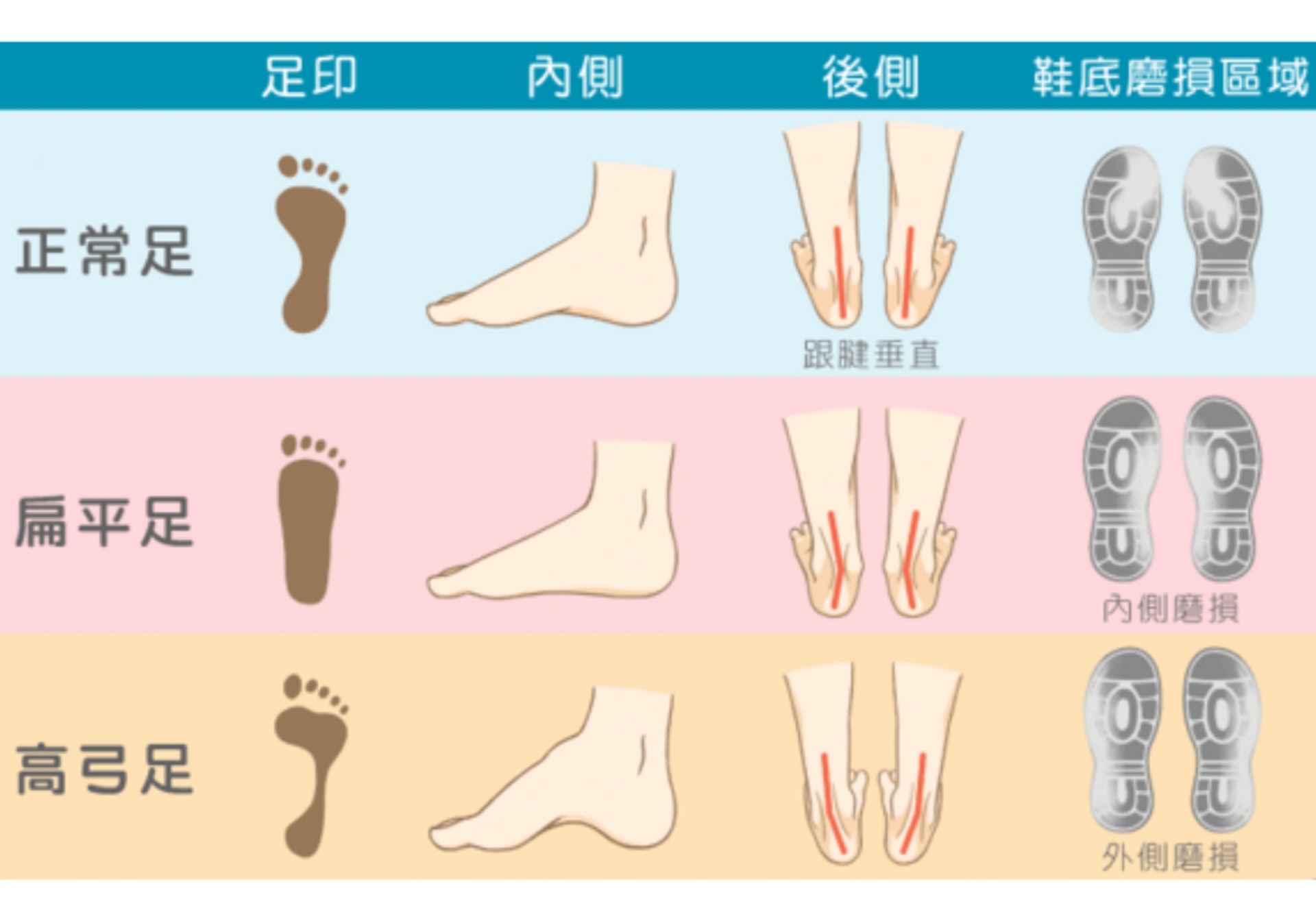 足形對照表 (圖片：良醫健康)