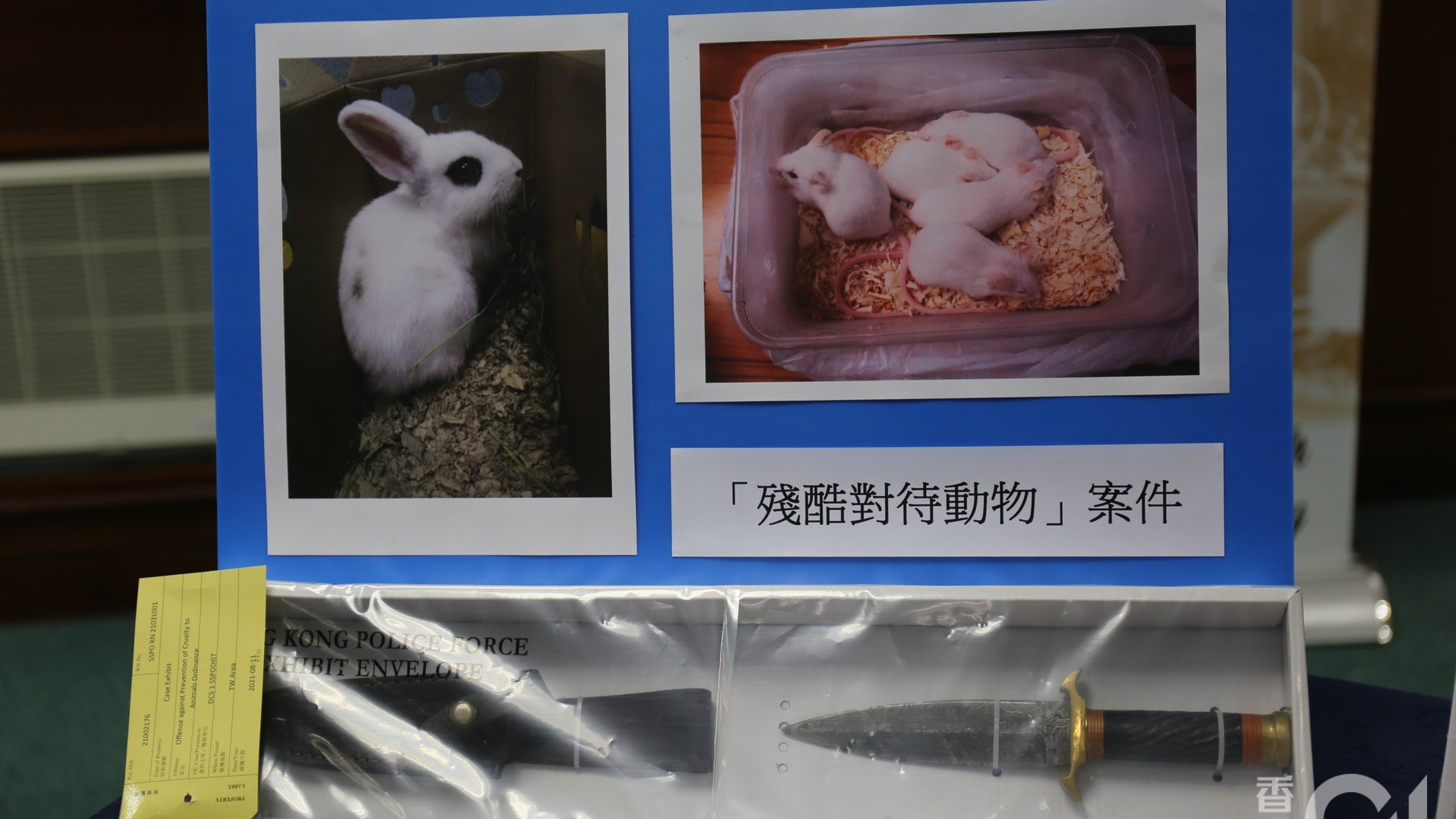 涉「活體動物奉獻」施巫術 19歲青年被控殘酷虐待動物 還柙候訊 涉「活體動物奉獻」施巫術 19歲青年被控殘酷虐待動物 還柙候訊