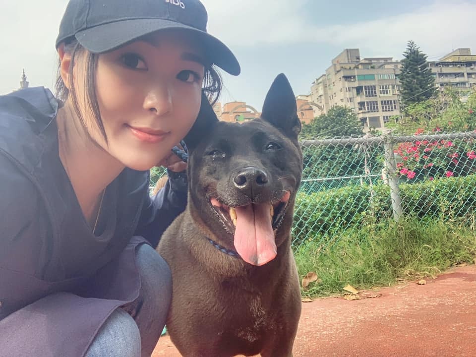 11歲唐狗不知被棄養燦笑到收容所4個月後義工見憔悴一幕超揪心