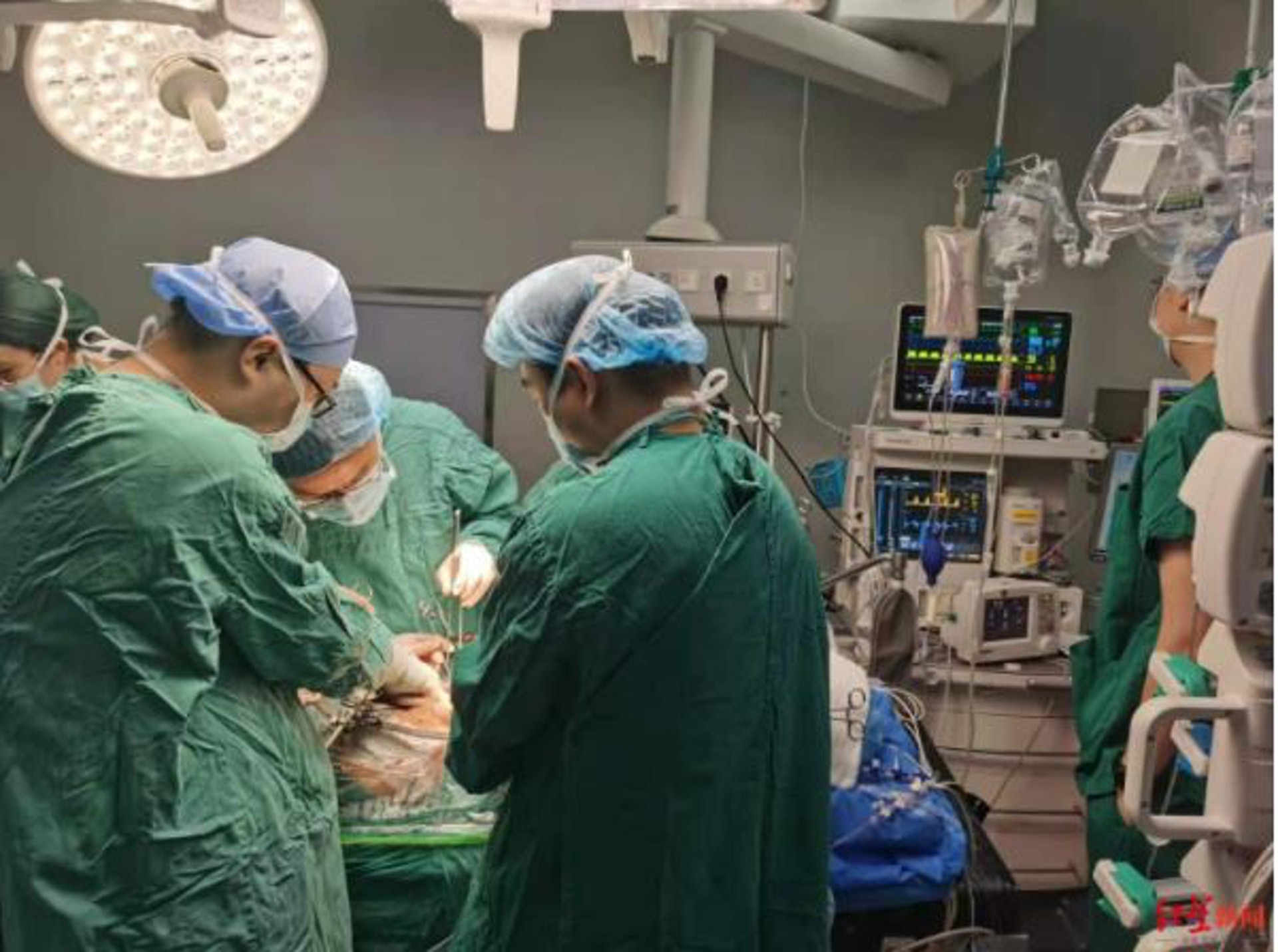 該器官移植聯合手術長達12小時。（紅星新聞）