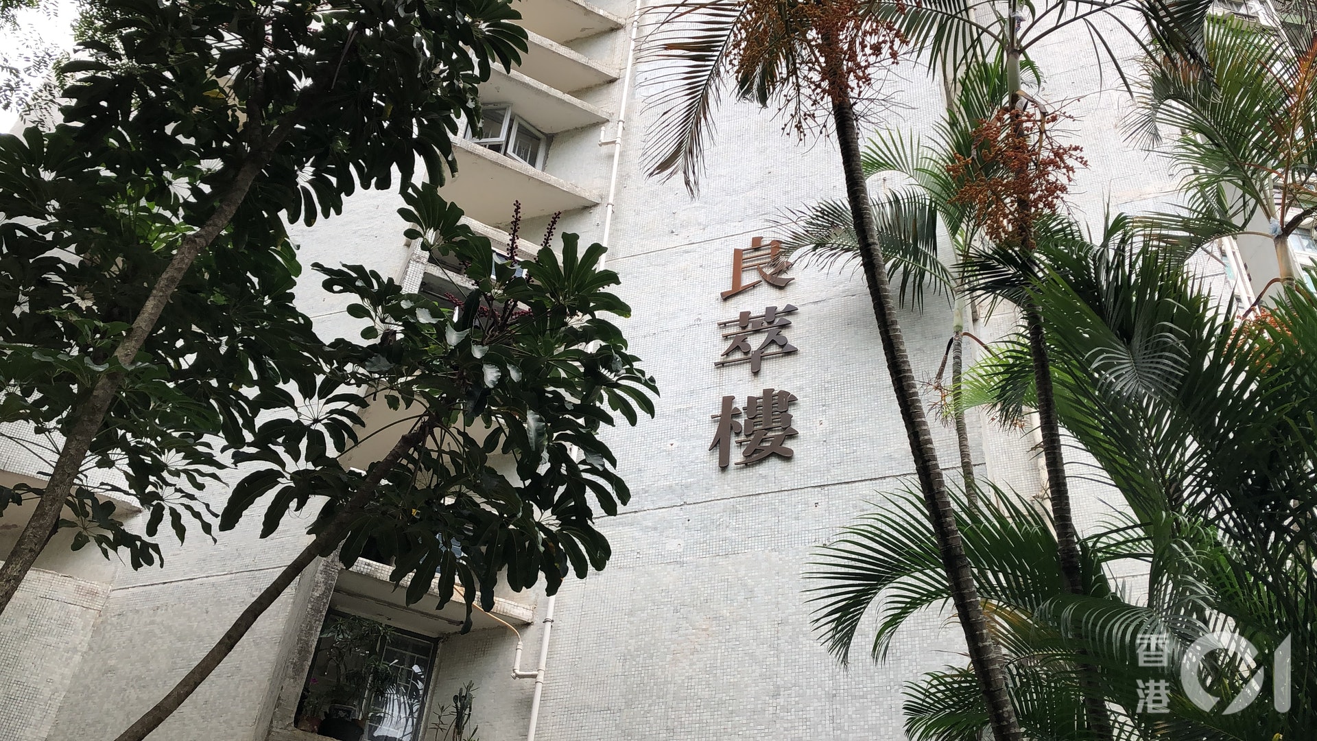 (陳浠文攝) (陳浠文攝)