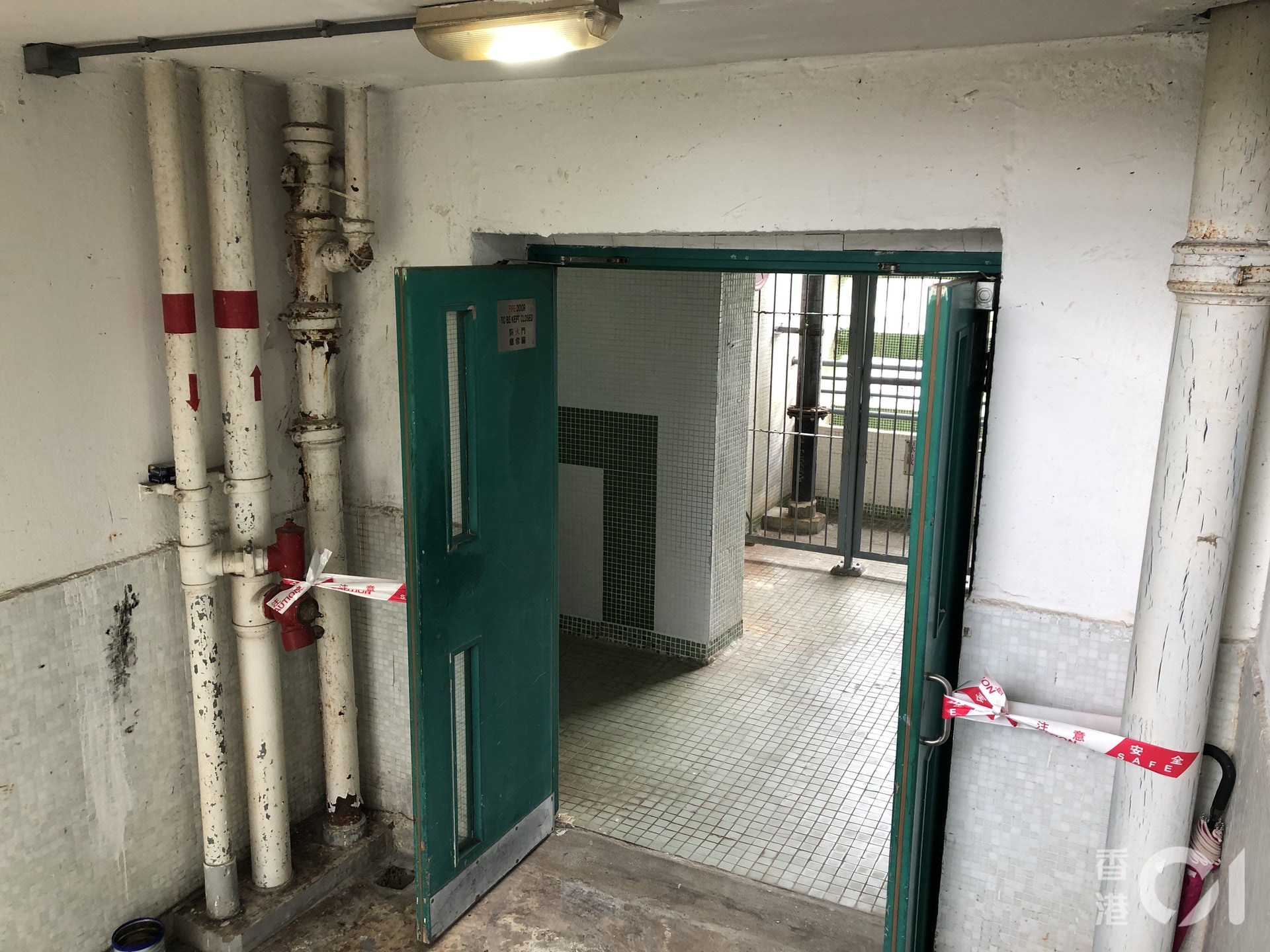 (陳浠文攝) (陳浠文攝)