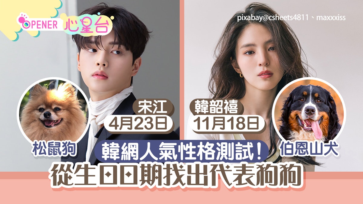 韓網瘋傳!從出生日看代表狗種和性格 8.22似比特犬「自尊心強」 韓網瘋傳!從出生日看代表狗種和性格 8.22似比特犬「自尊心強」