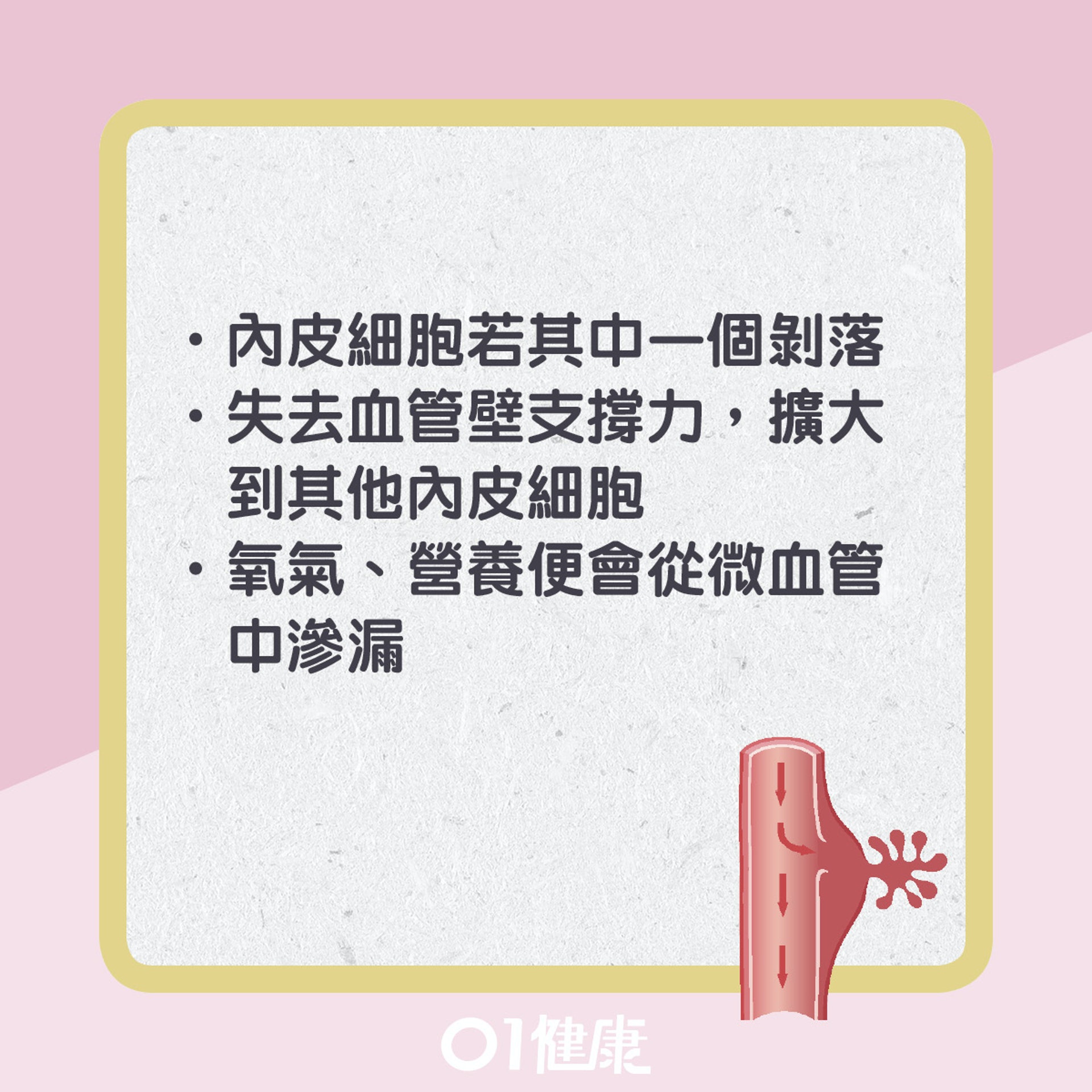 微絲血管知多啲。(01製圖) 微絲血管知多啲。(01製圖)