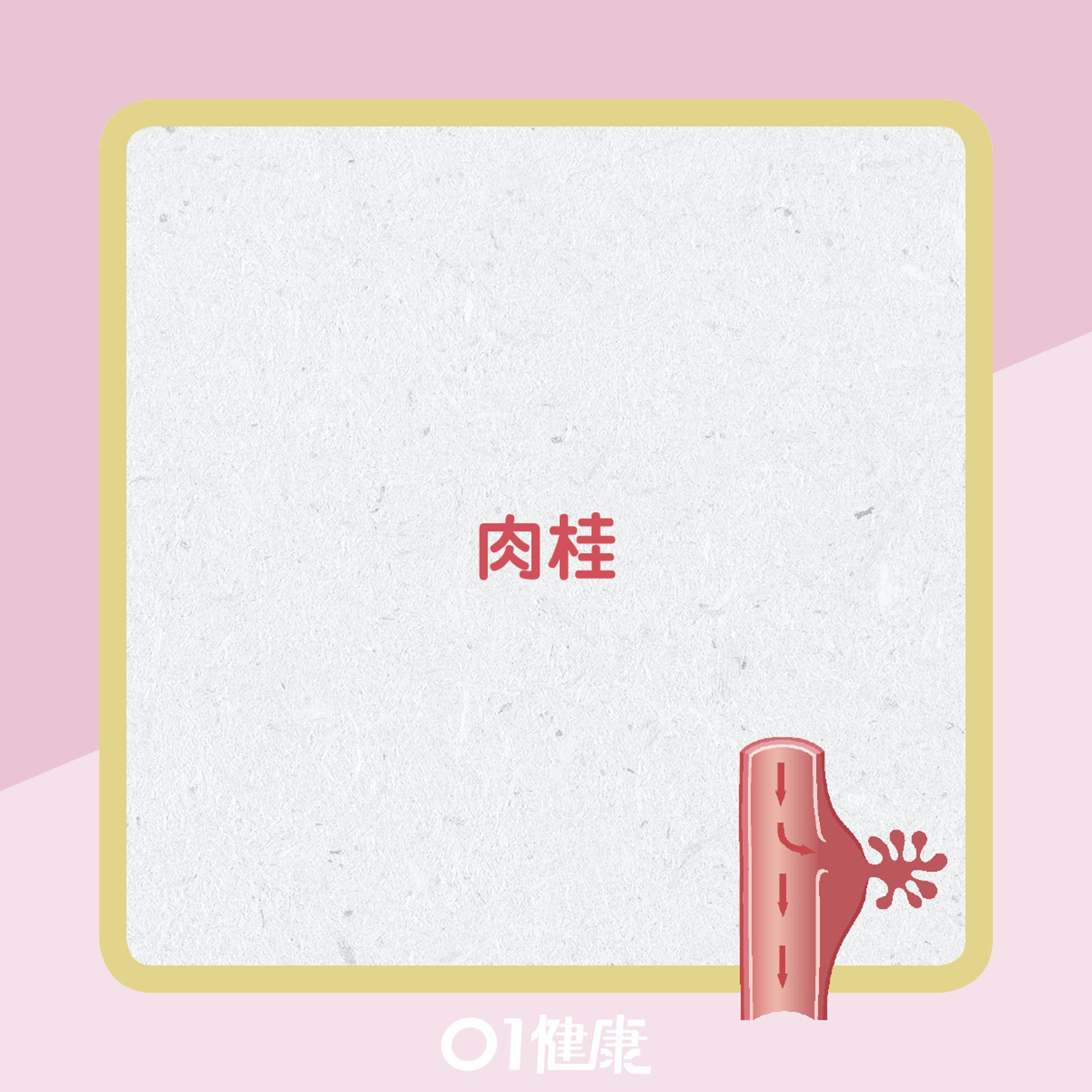增加微絲血管食物。(01製圖) 增加微絲血管食物。(01製圖)