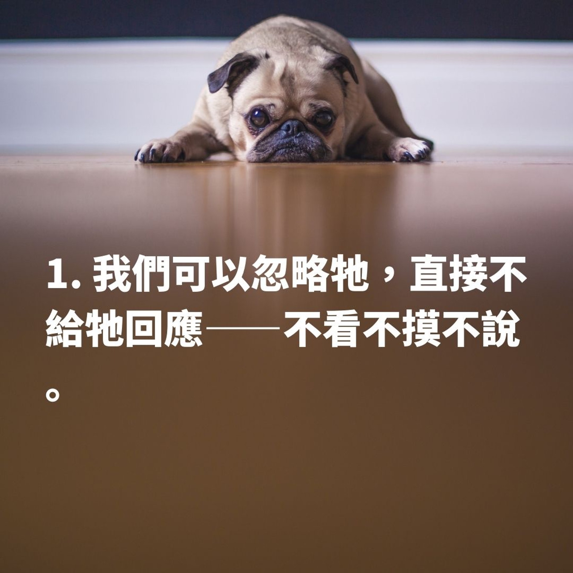 4大方法應對狗狗撲人行為(01製圖/matthewhenry/Unsplash) 4大方法應對狗狗撲人行為(01製圖/matthewhenry/Unsplash)