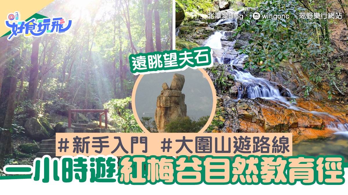 大圍行山｜紅梅谷自然教育徑易行啱一家大細短遊遠眺沙田望夫石