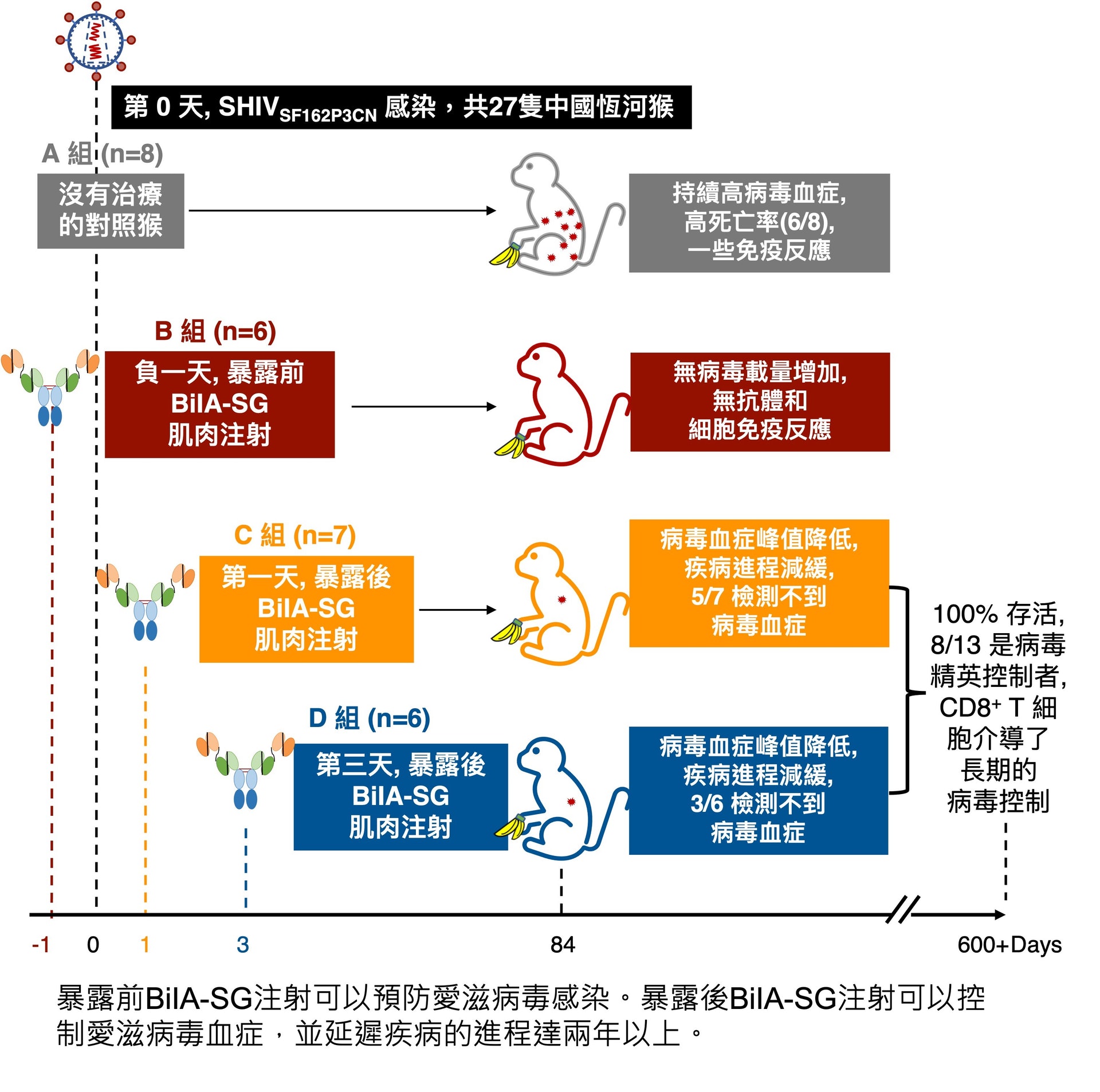 （港大醫學院提供）