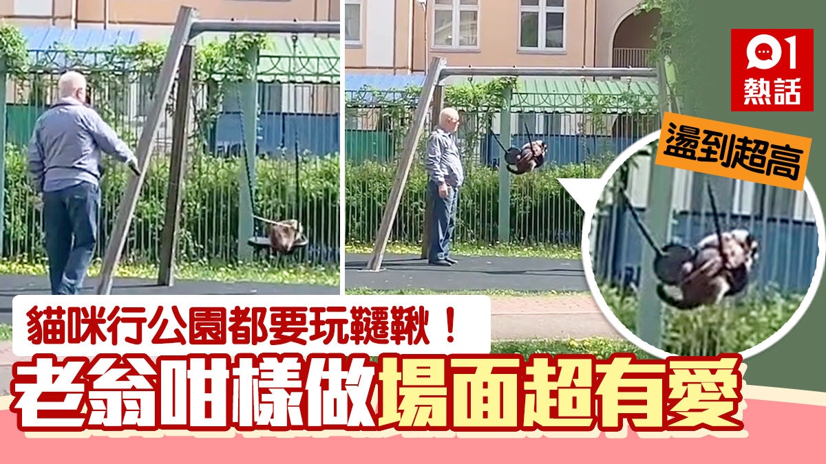 帶貓到公園散步 貪玩主子爬上去打鞦韆 老翁1個舉動暖爆790萬人 帶貓到公園散步 貪玩主子爬上去打鞦韆 老翁1個舉動暖爆790萬人