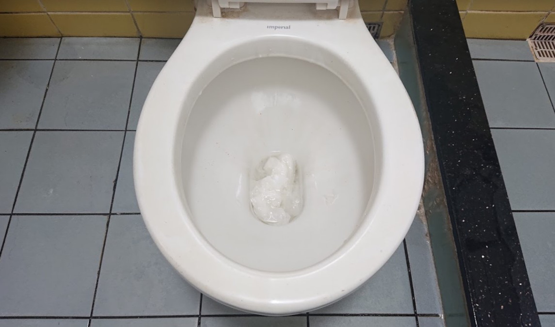 座廁淤塞相片(紅出版授權使用) 座廁淤塞相片(紅出版授權使用)