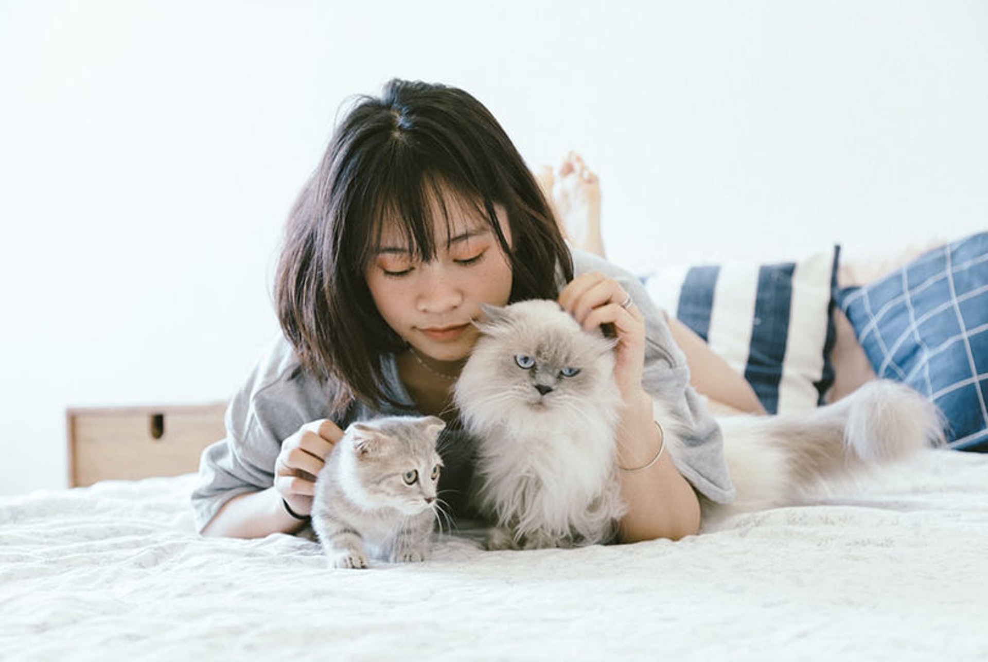 「毛孩」的陪伴有助消除孤獨感。(圖片:Unsplash.com) 「毛孩」的陪伴有助消除孤獨感。(圖片:Unsplash.com)