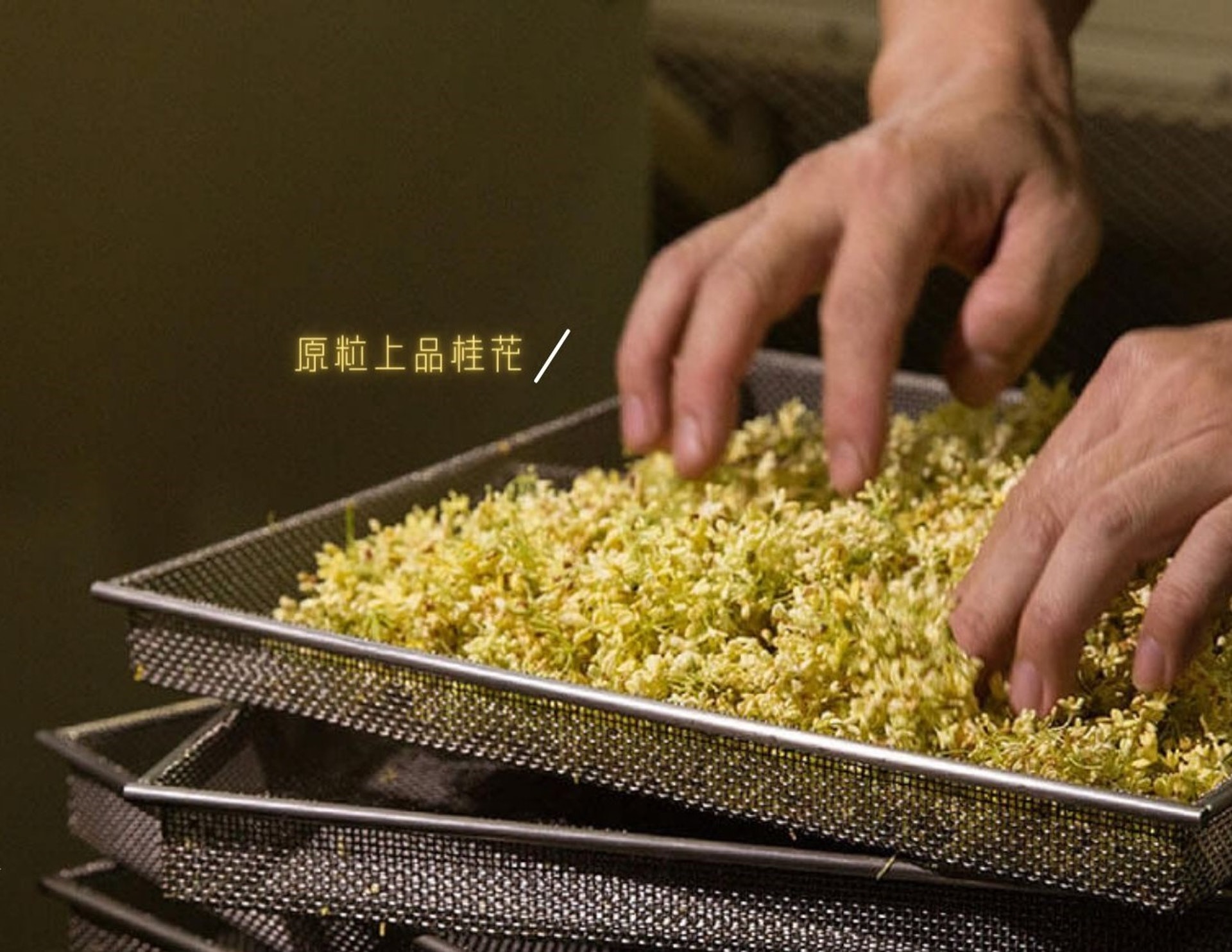 怡健堂中醫 - 極品桂花柑橘豆沙月使用原粒上品桂花 怡健堂中醫 - 極品桂花柑橘豆沙月使用原粒上品桂花