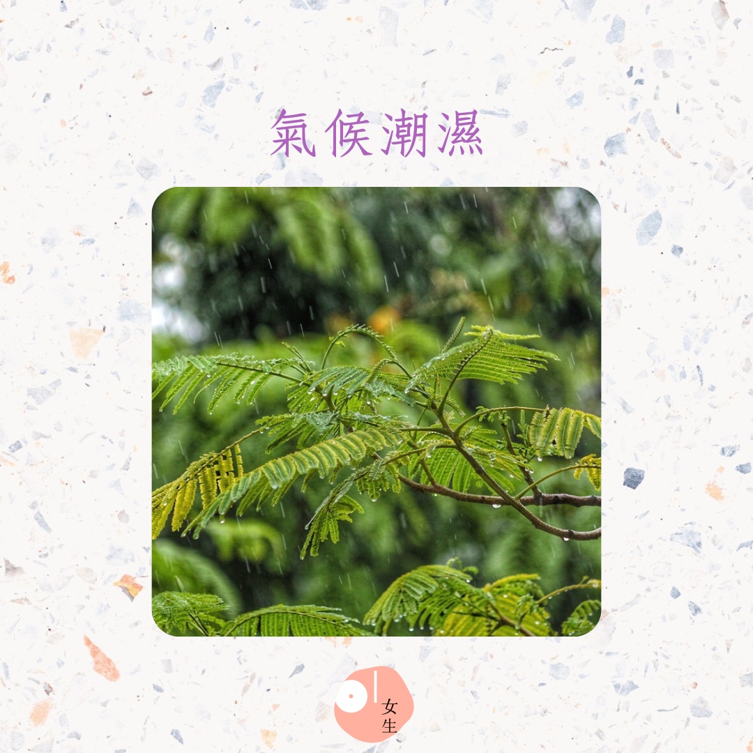 令私處傳出異味的5大元兇（Unsplash：drjay93／01製圖）