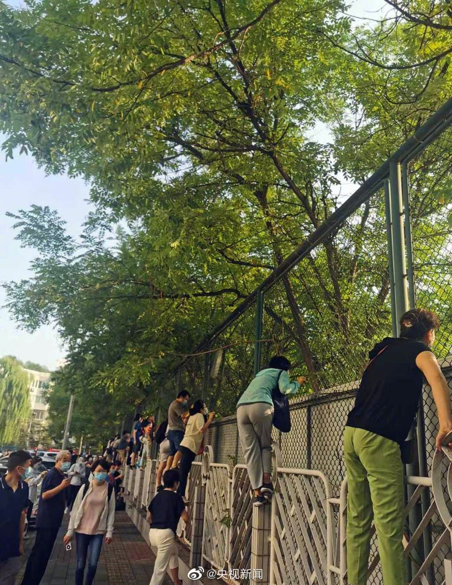 有家長攀爬上學校外的欄杆。(央視新聞) 有家長攀爬上學校外的欄杆。(央視新聞)