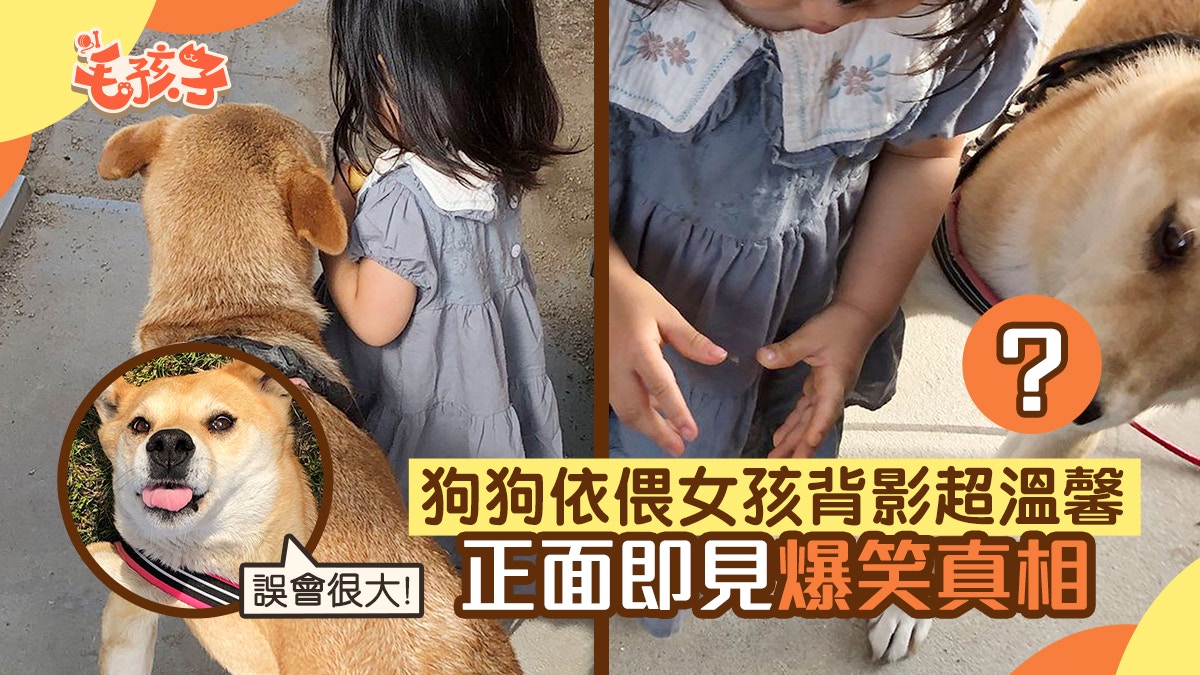 女孩與狗狗相依偎背影超溫馨 轉正面揭開驚人真相劇情全面扭轉 女孩與狗狗相依偎背影超溫馨 轉正面揭開驚人真相劇情全面扭轉