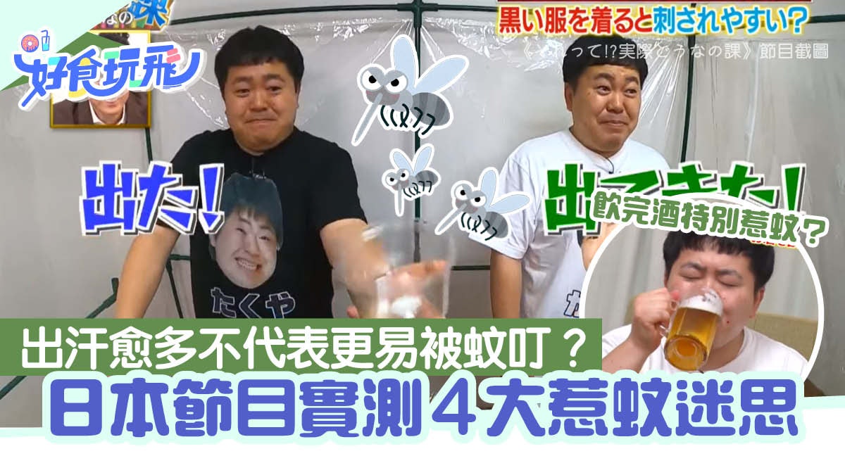 日本節目實測4大惹蚊迷思!大汗不代表惹蚊、飲酒後容易被蚊咬? 日本節目實測4大惹蚊迷思!大汗不代表惹蚊、飲酒後容易被蚊咬?