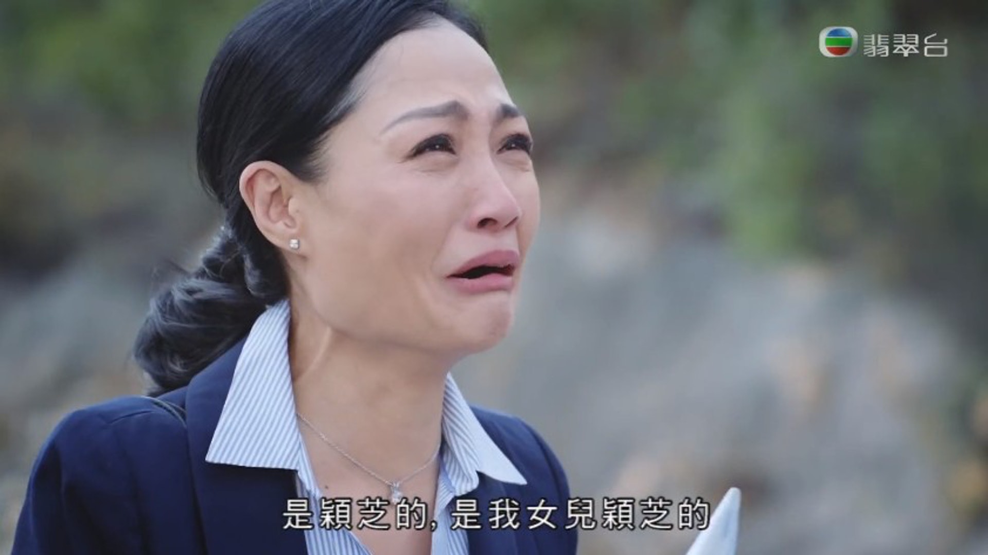 《法證先鋒IV》(電視截圖)