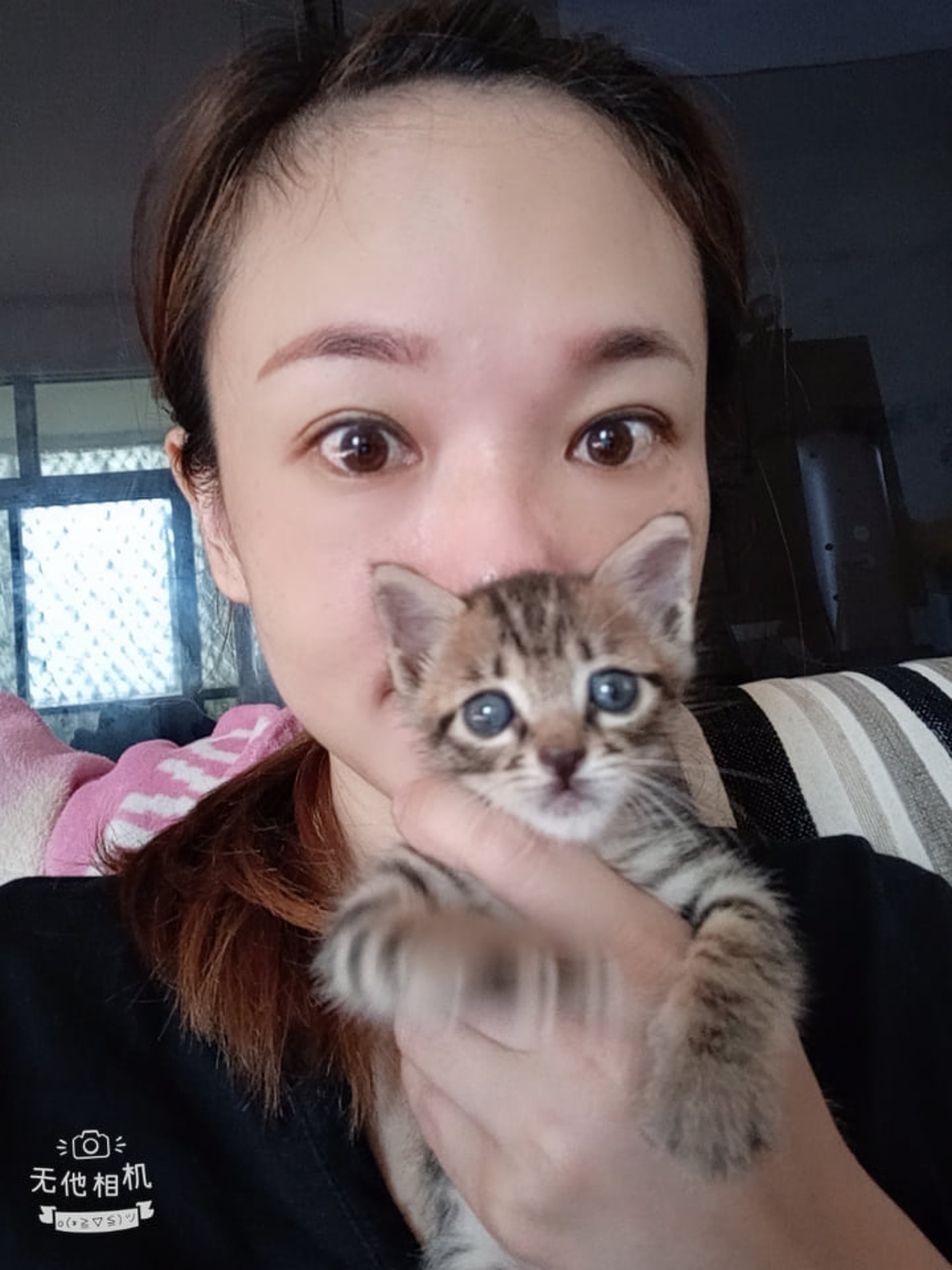鄭小姐的老公一覺睡醒,發現家中多了一隻貓咪!(受訪者提供) 鄭小姐的老公一覺睡醒,發現家中多了一隻貓咪!(受訪者提供)
