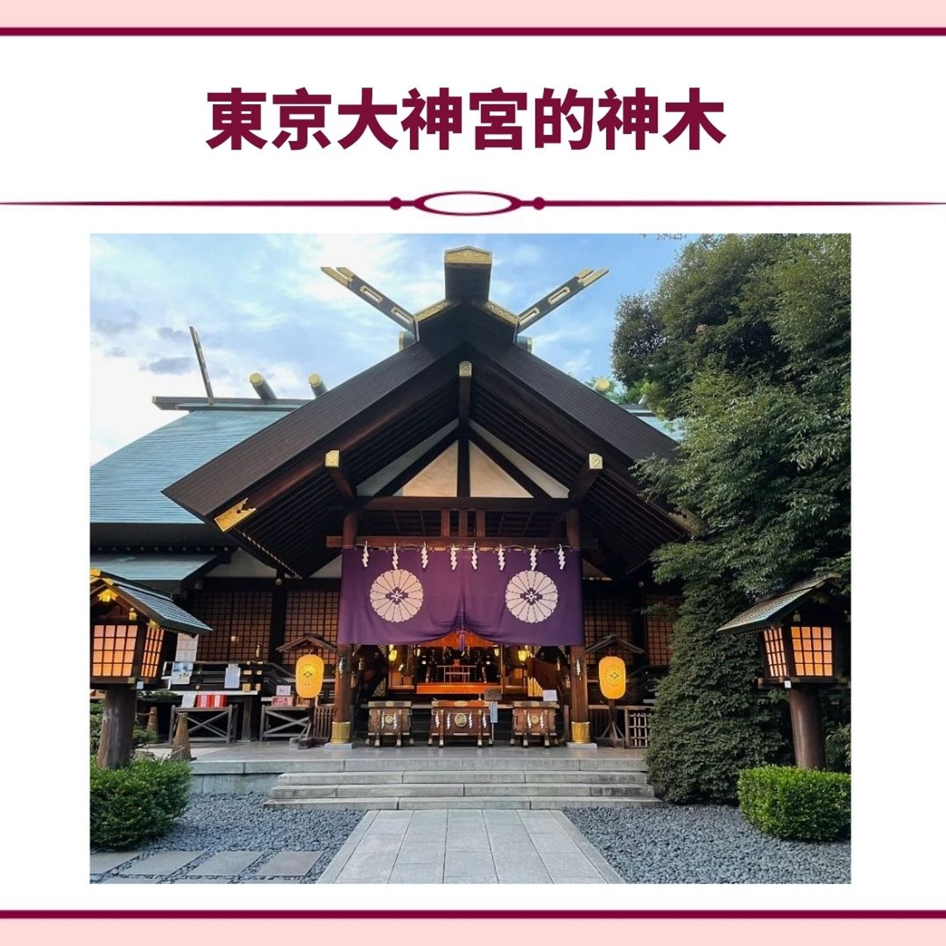 日本人用神社相片當手機桌布財運戀愛運大爆發這5間運勢超強 日本人用神社相片當手機桌布財運戀愛運大爆發這5間運勢超強