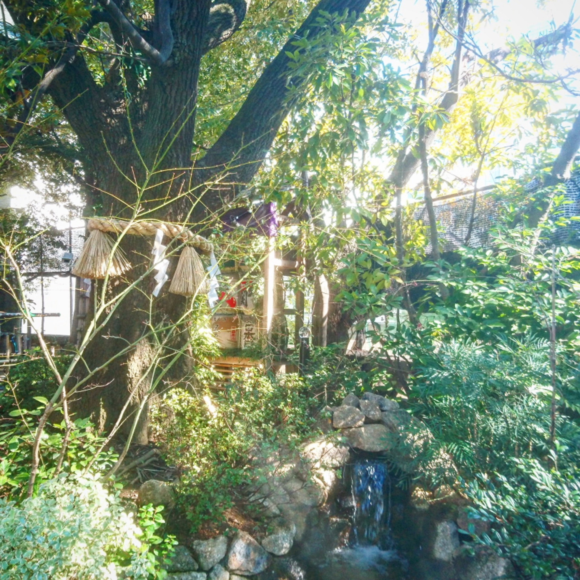 日本人用神社相片當手機桌布財運戀愛運大爆發這5間運勢超強 日本人用神社相片當手機桌布財運戀愛運大爆發這5間運勢超強