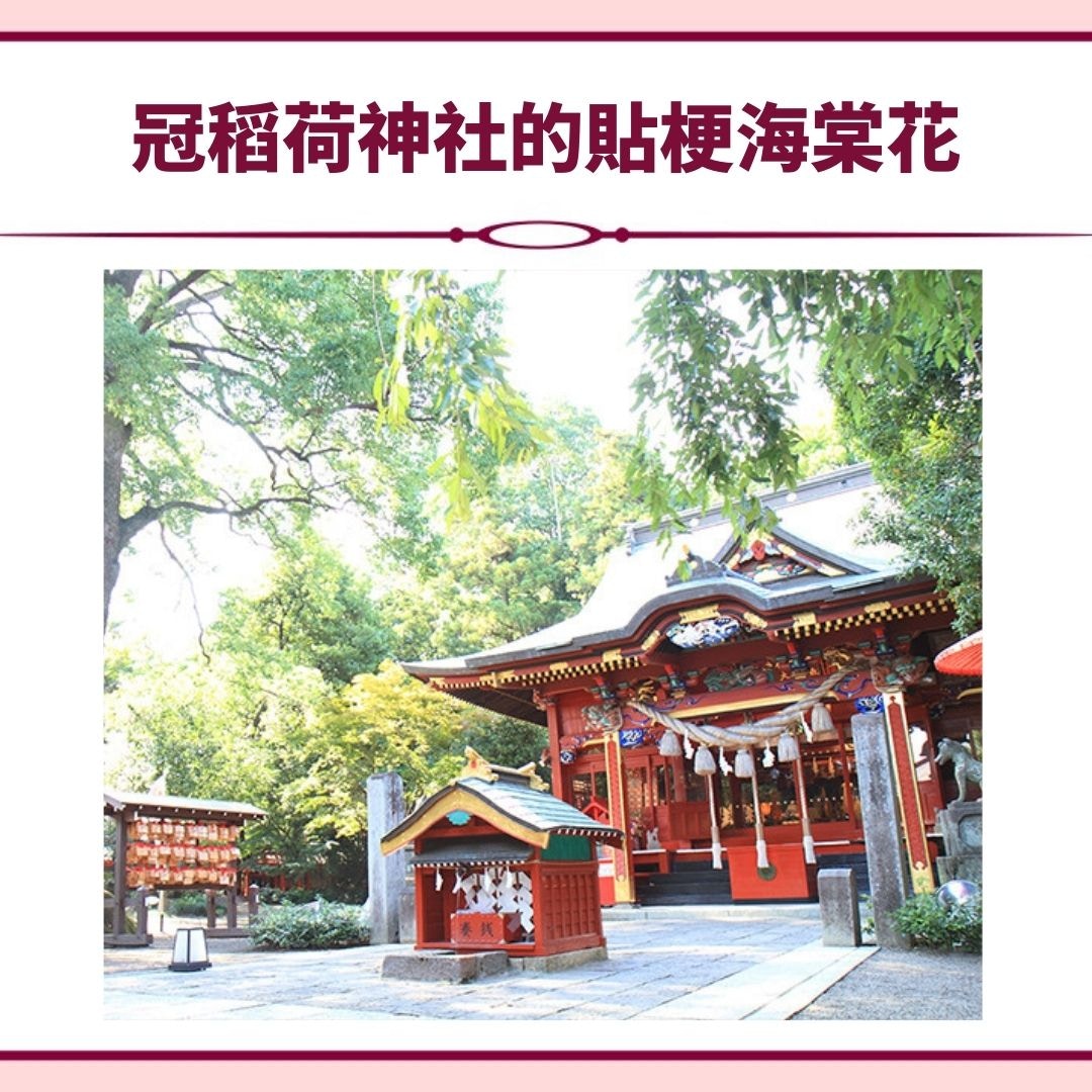 日本人用神社相片當手機桌布財運戀愛運大爆發這5間運勢超強 日本人用神社相片當手機桌布財運戀愛運大爆發這5間運勢超強