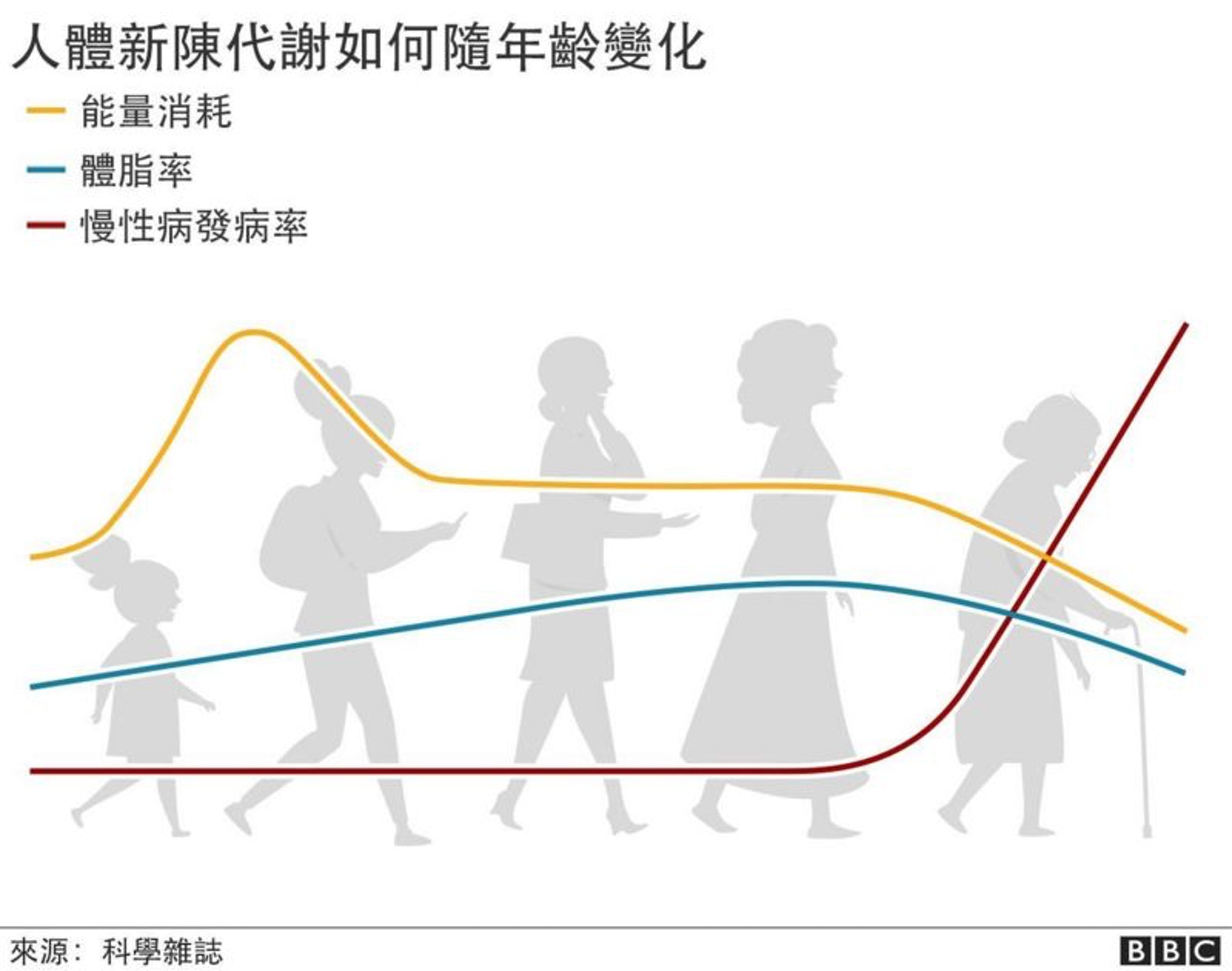 人類新陳代謝的變化依照生命四個不同階段而改變。(圖片:BBC) 人類新陳代謝的變化依照生命四個不同階段而改變。(圖片:BBC)