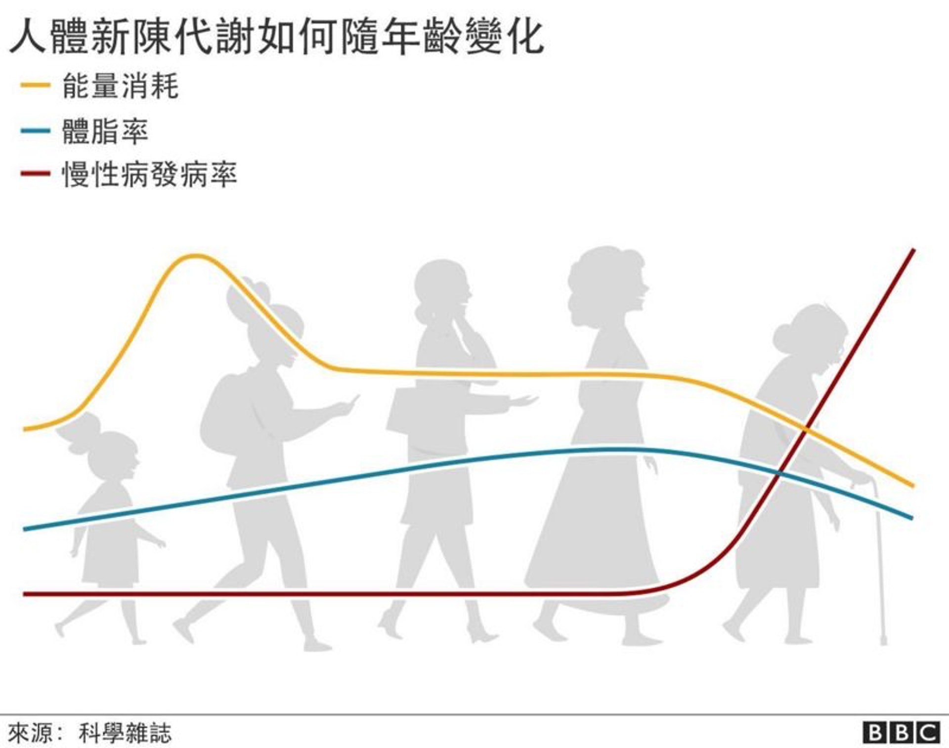 人類新陳代謝的變化依照生命四個不同階段而改變。（圖片：BBC）