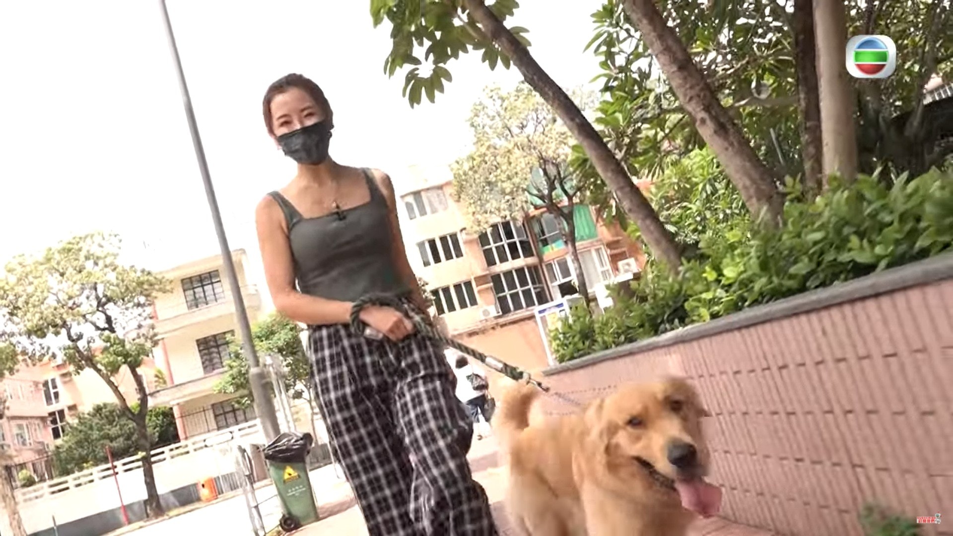 利穎怡再次出動應付怪婦人。(電視截圖) 利穎怡再次出動應付怪婦人。(電視截圖)