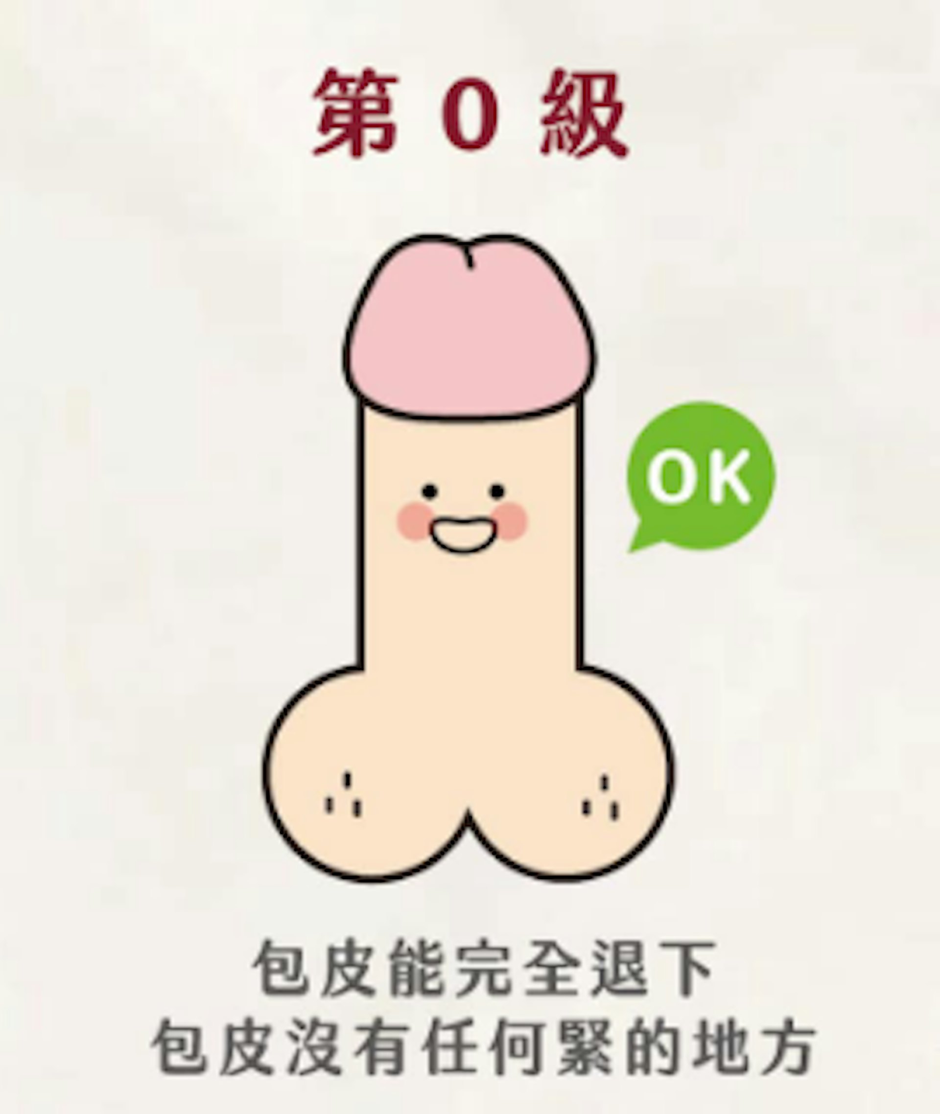 若不需靠手輔助即可完全露出小頭,即無包莖疑慮。(FB@鳥科學先生-泌尿科顧芳瑜醫師) 若不需靠手輔助即可完全露出小頭,即無包莖疑慮。(FB@鳥科學先生-泌尿科顧芳瑜醫師)