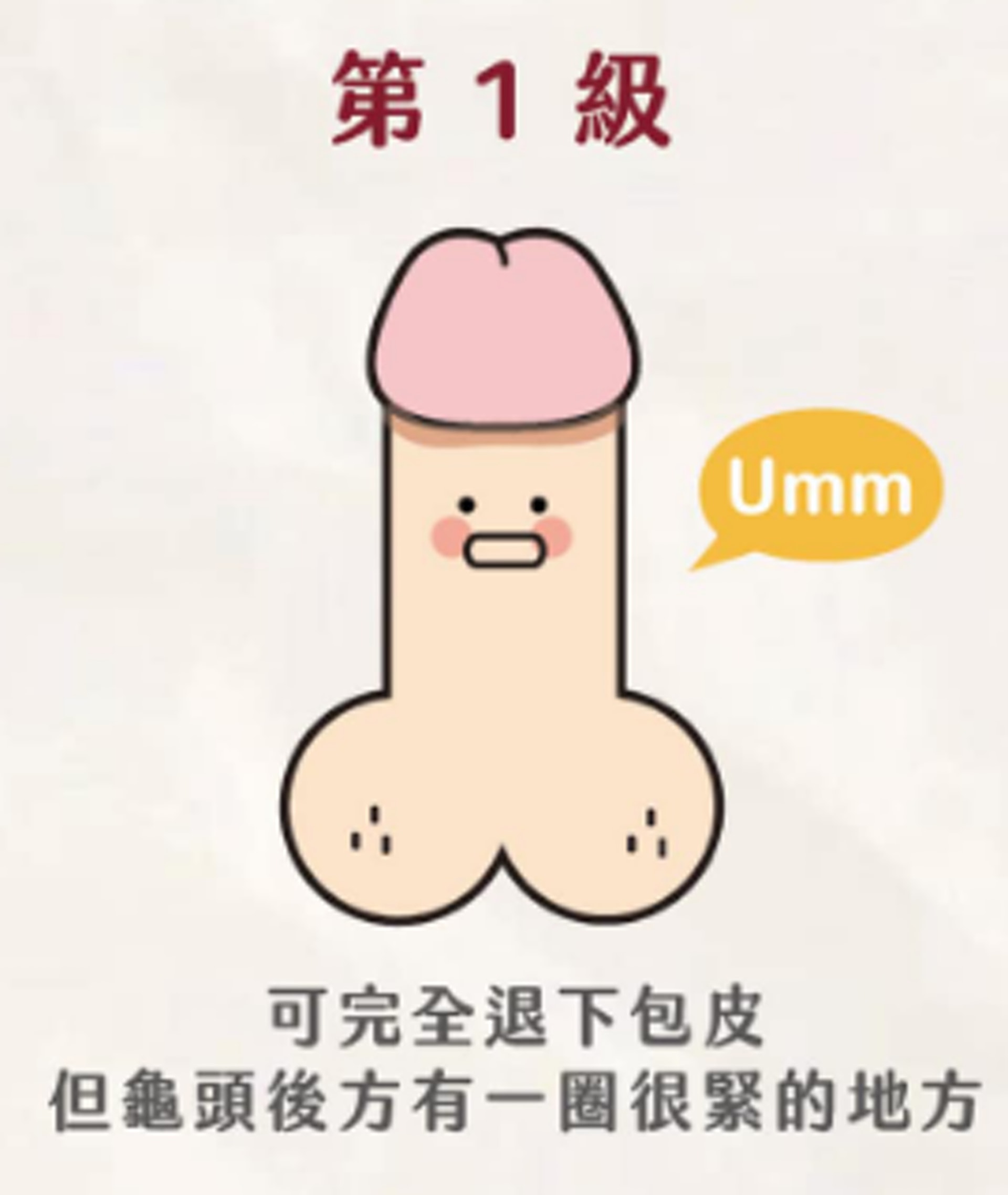 至於包莖,則可依嚴重程度分為5種。(FB@鳥科學先生-泌尿科顧芳瑜醫師) 至於包莖,則可依嚴重程度分為5種。(FB@鳥科學先生-泌尿科顧芳瑜醫師)