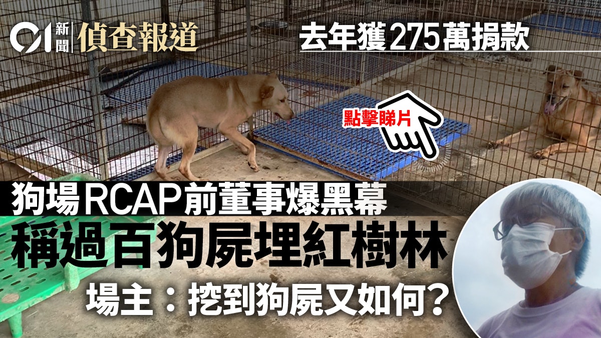 遺棄動物 香港01 遺棄動物 香港01