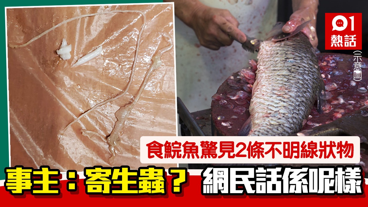 煮鯇魚食到一半驚見2條線狀物事主憂心 史上最可怕嘅寄生蟲 煮鯇魚食到一半驚見2條線狀物事主憂心 史上最可怕嘅寄生蟲