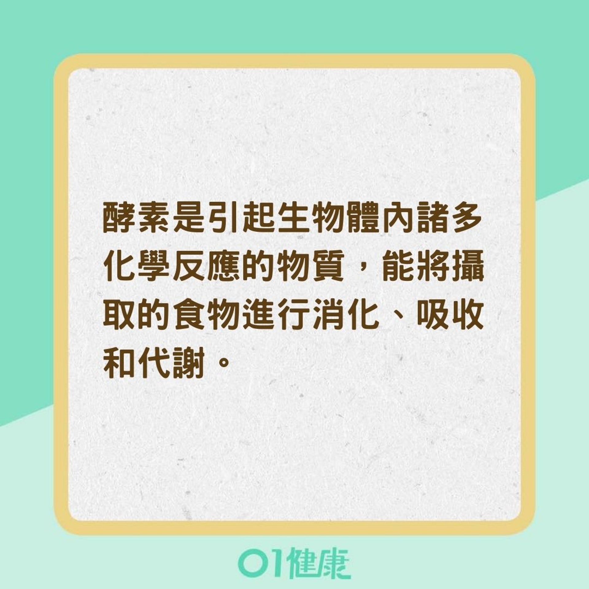 為什麼喝秋葵水能養生呢？（01製圖）