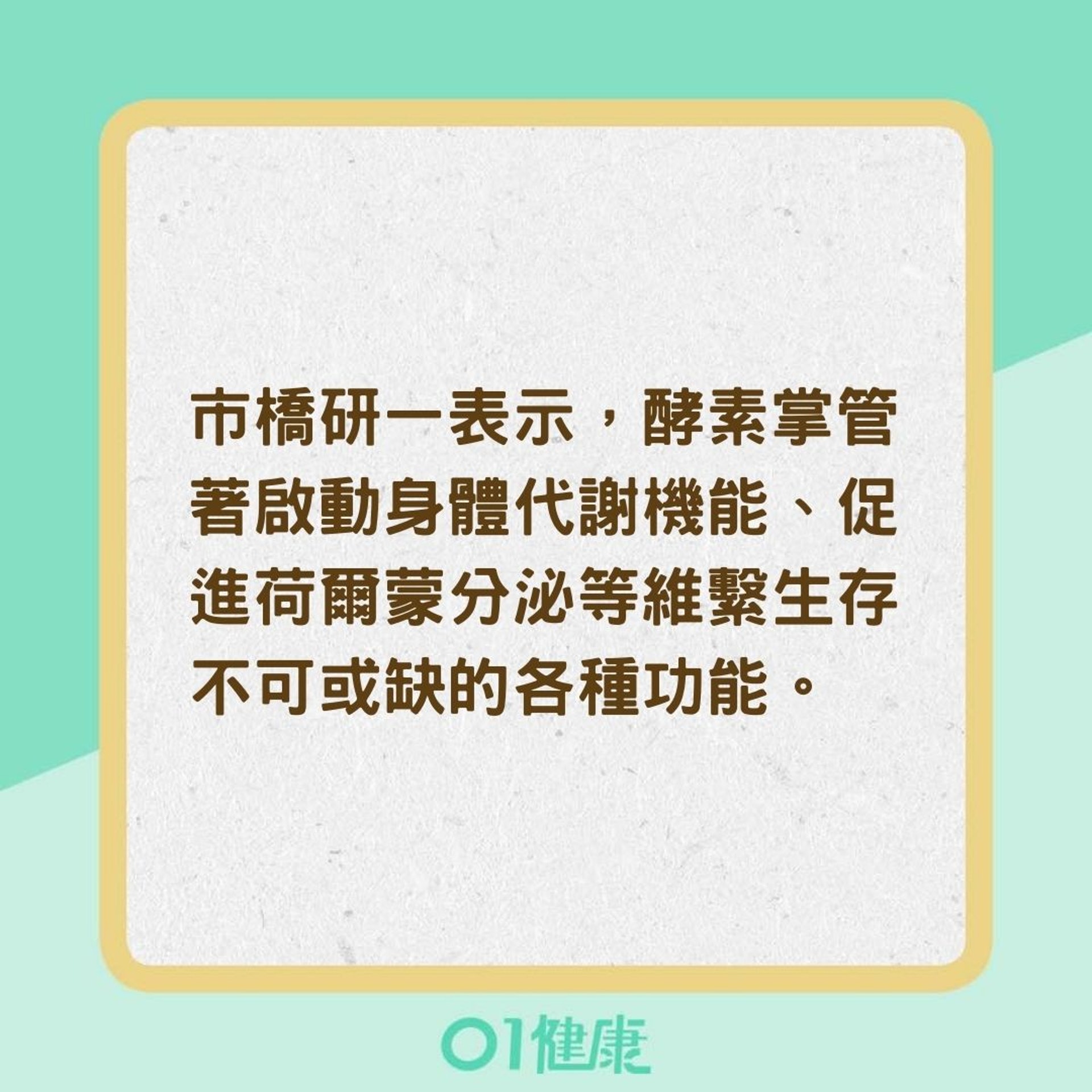 為什麼喝秋葵水能養生呢？（01製圖）