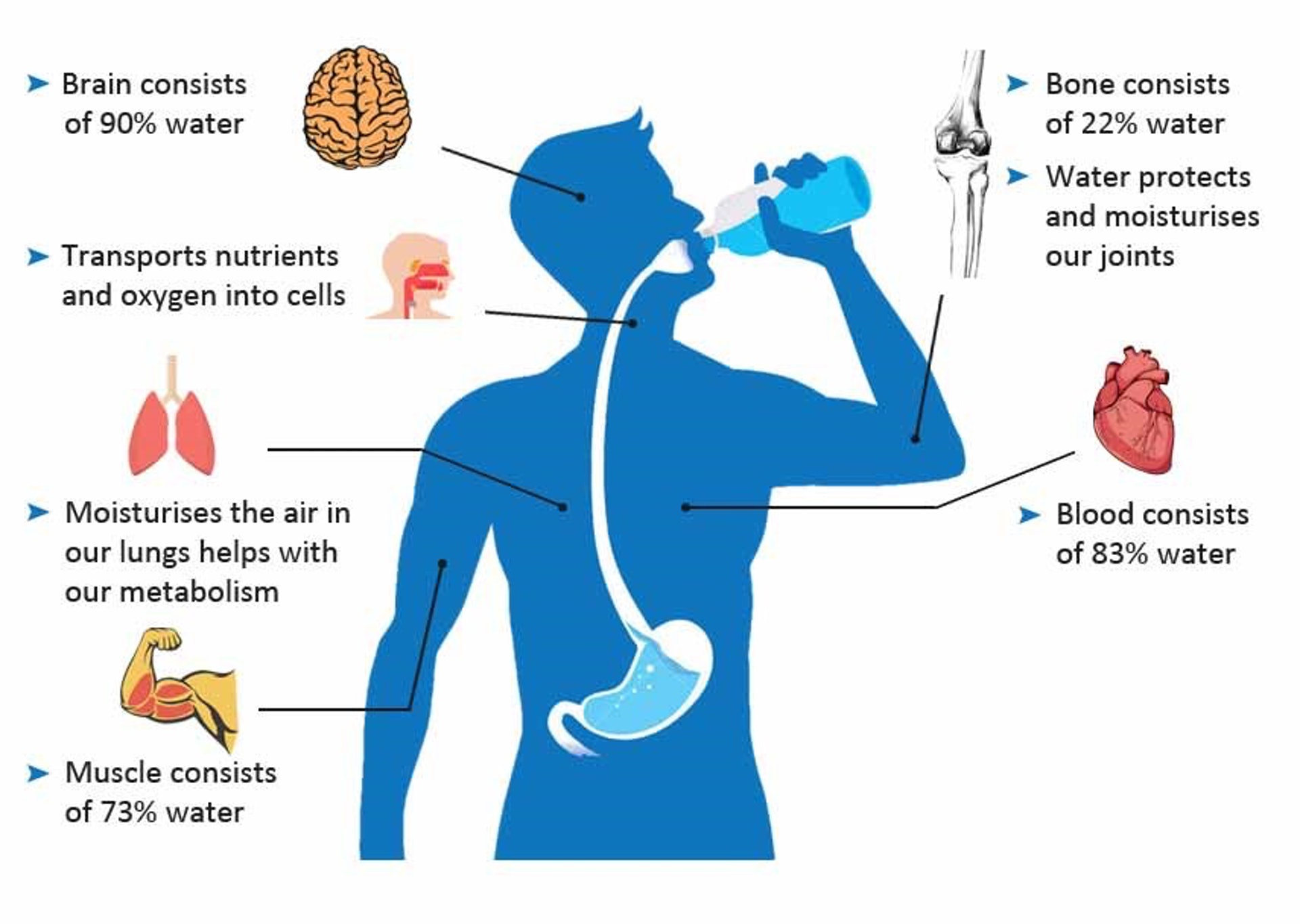 補充足夠水份，才能維持身體機能。（圖片：Garmin）