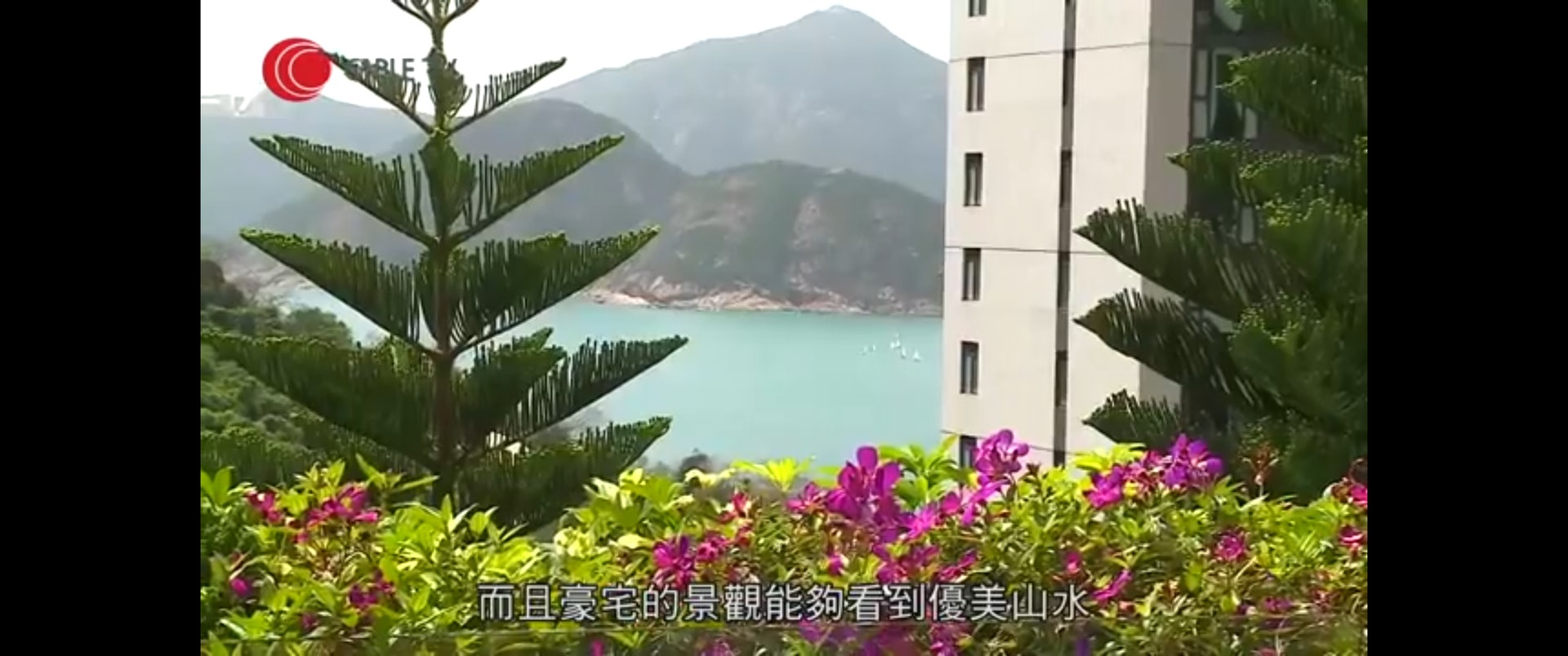 環境清幽。