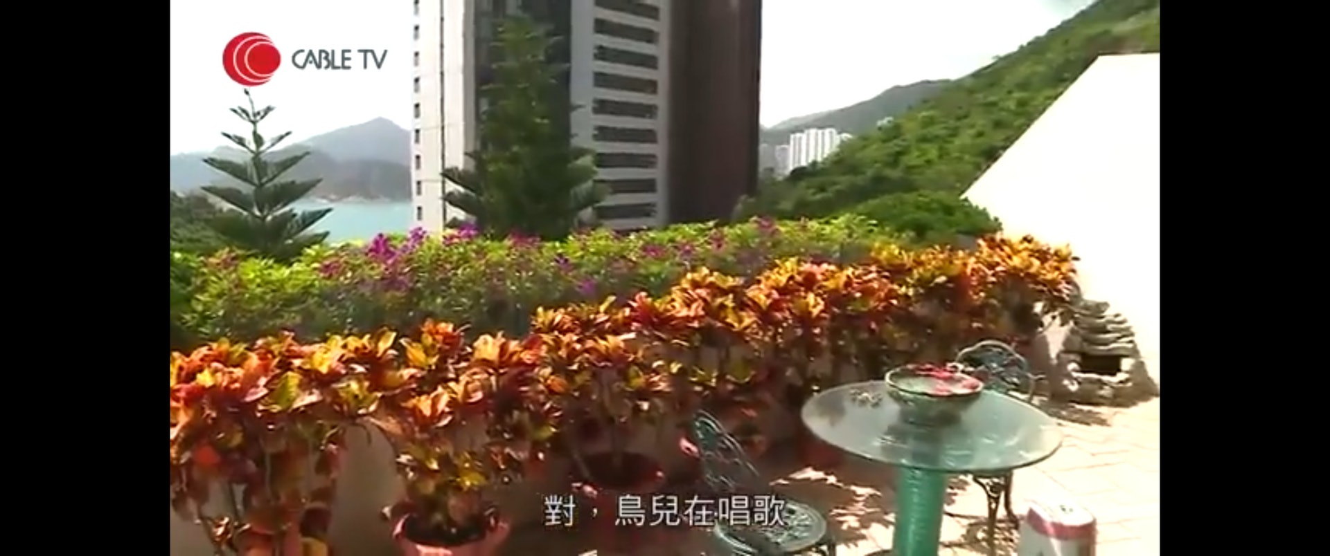 環境清幽。