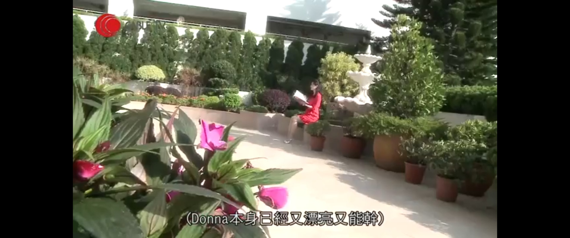 花園。