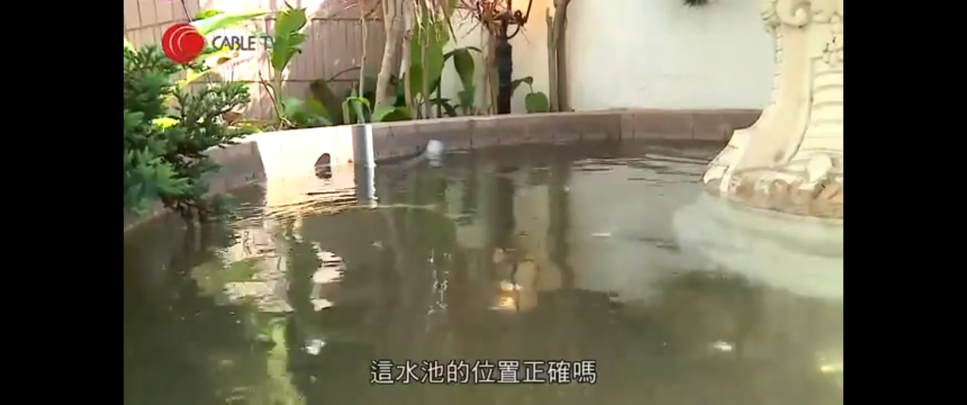 水池。