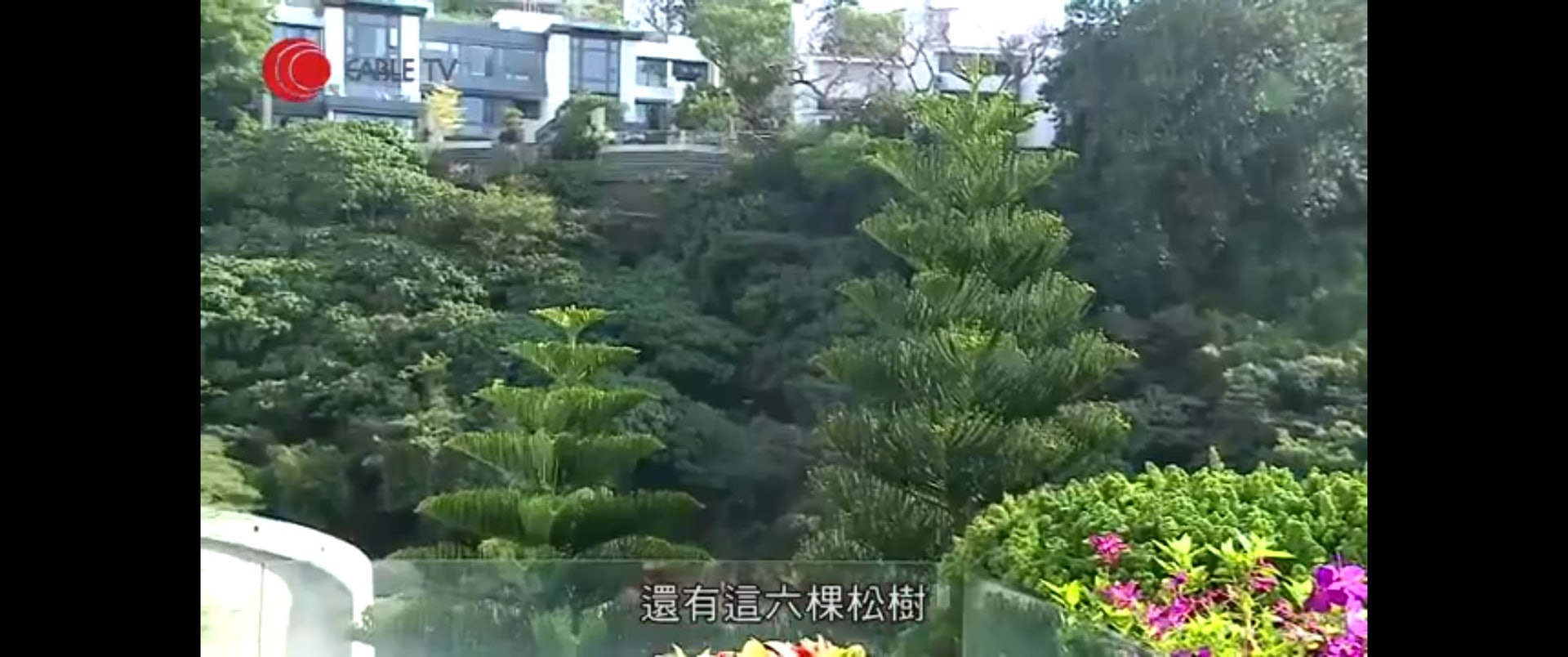 環境清幽。