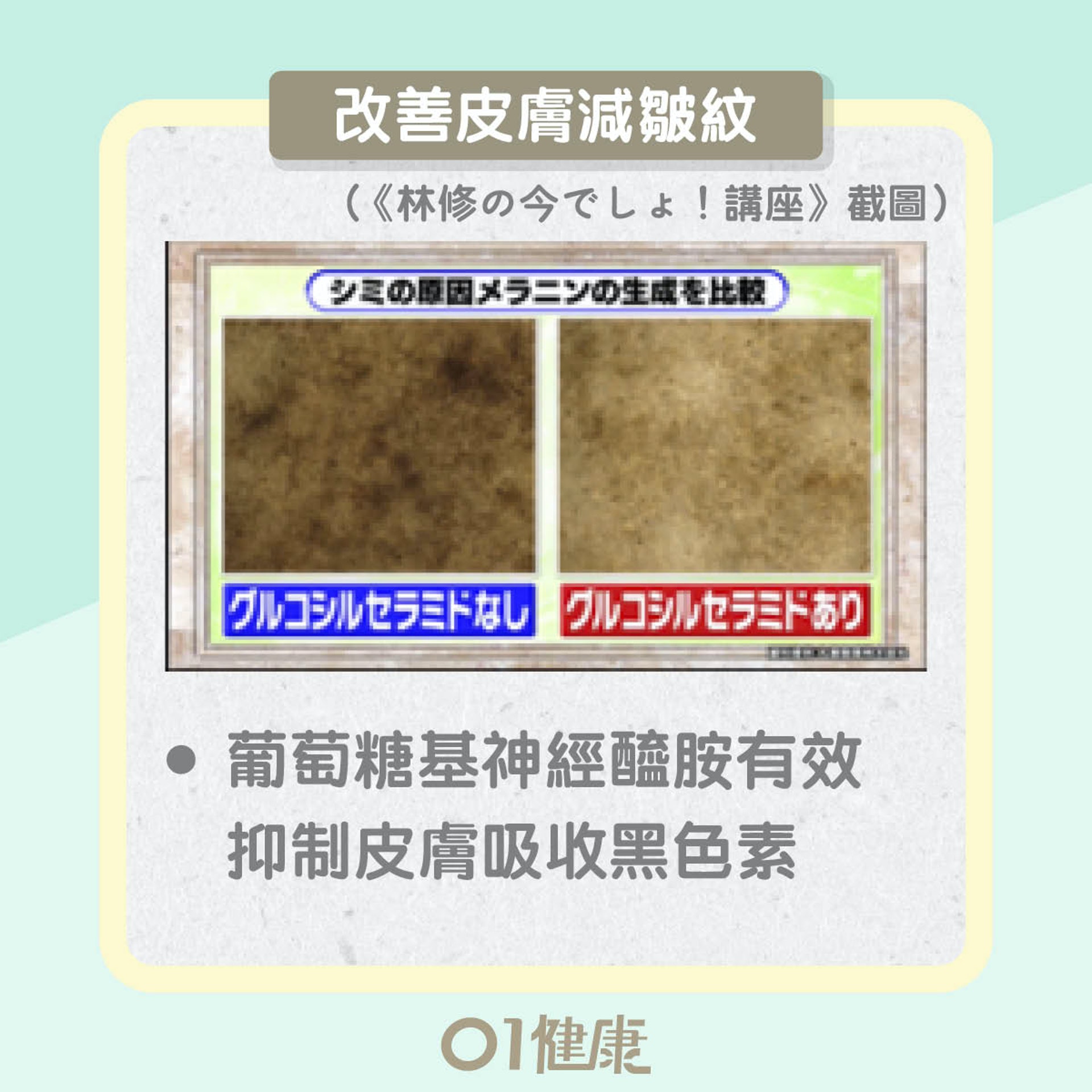 菠蘿優勝之處(01製圖) 菠蘿優勝之處(01製圖)