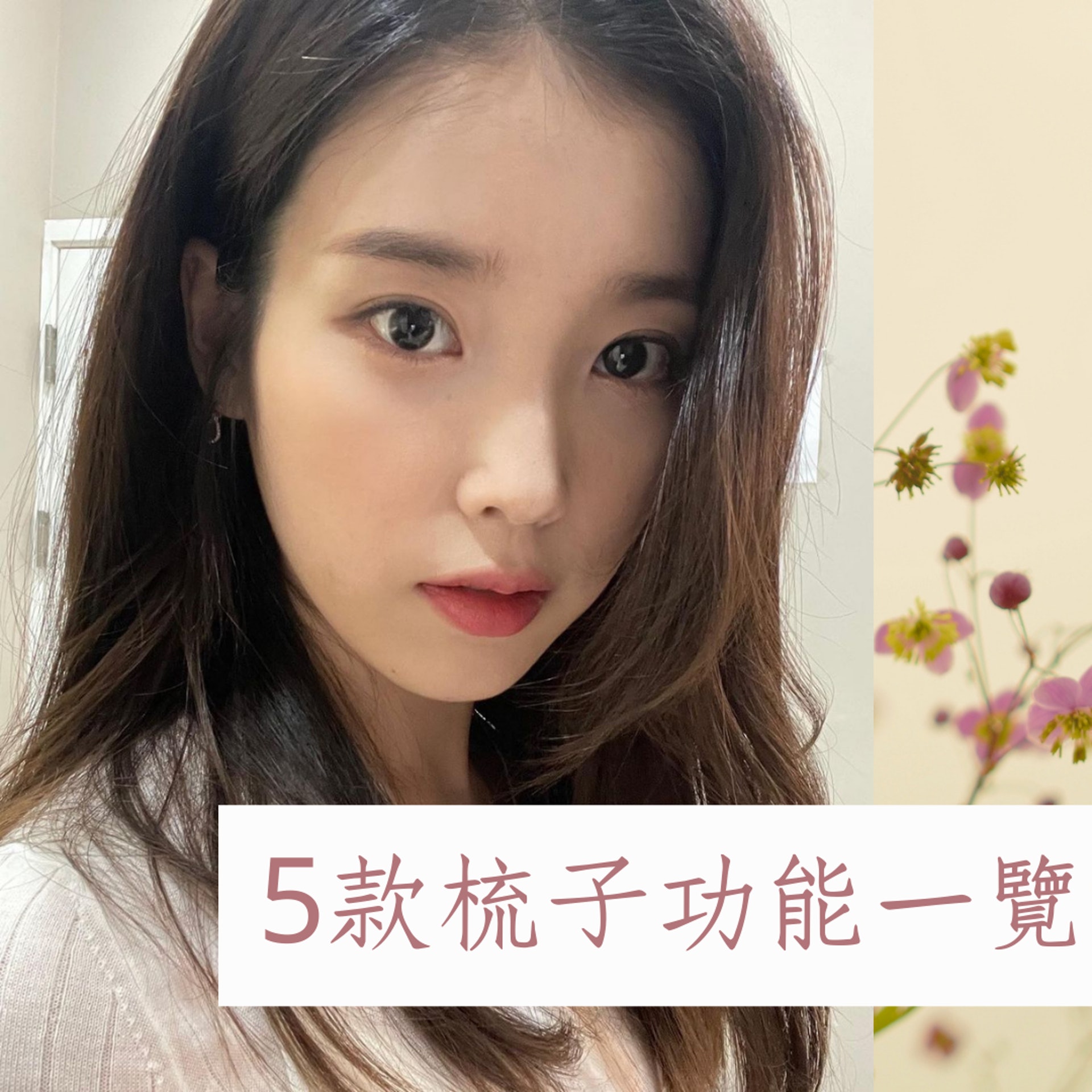 5款梳子功能一覽(IG@dlwlrma;01製圖) 5款梳子功能一覽(IG@dlwlrma;01製圖)