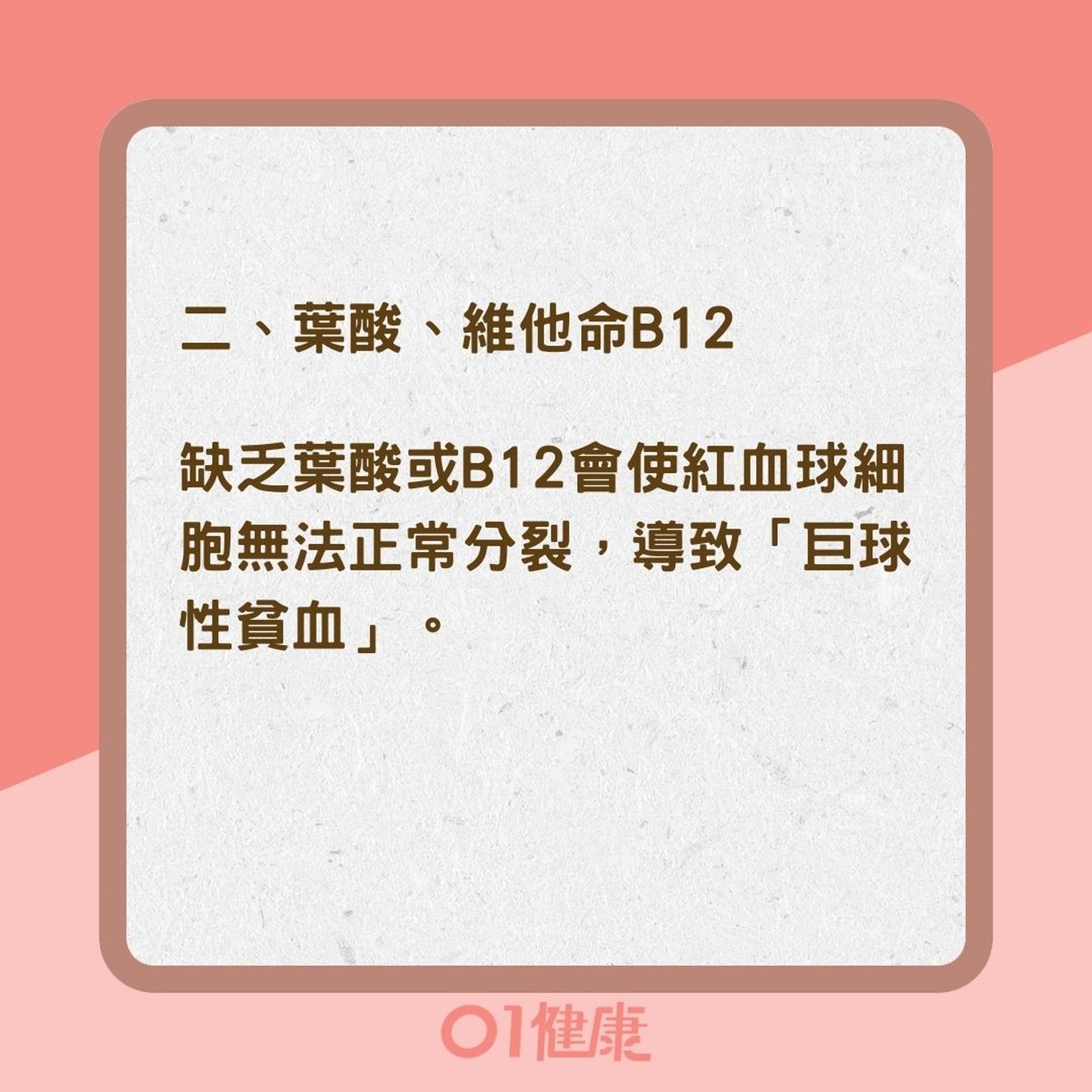 貧血可能缺乏的營養素(01製圖) 貧血可能缺乏的營養素(01製圖)