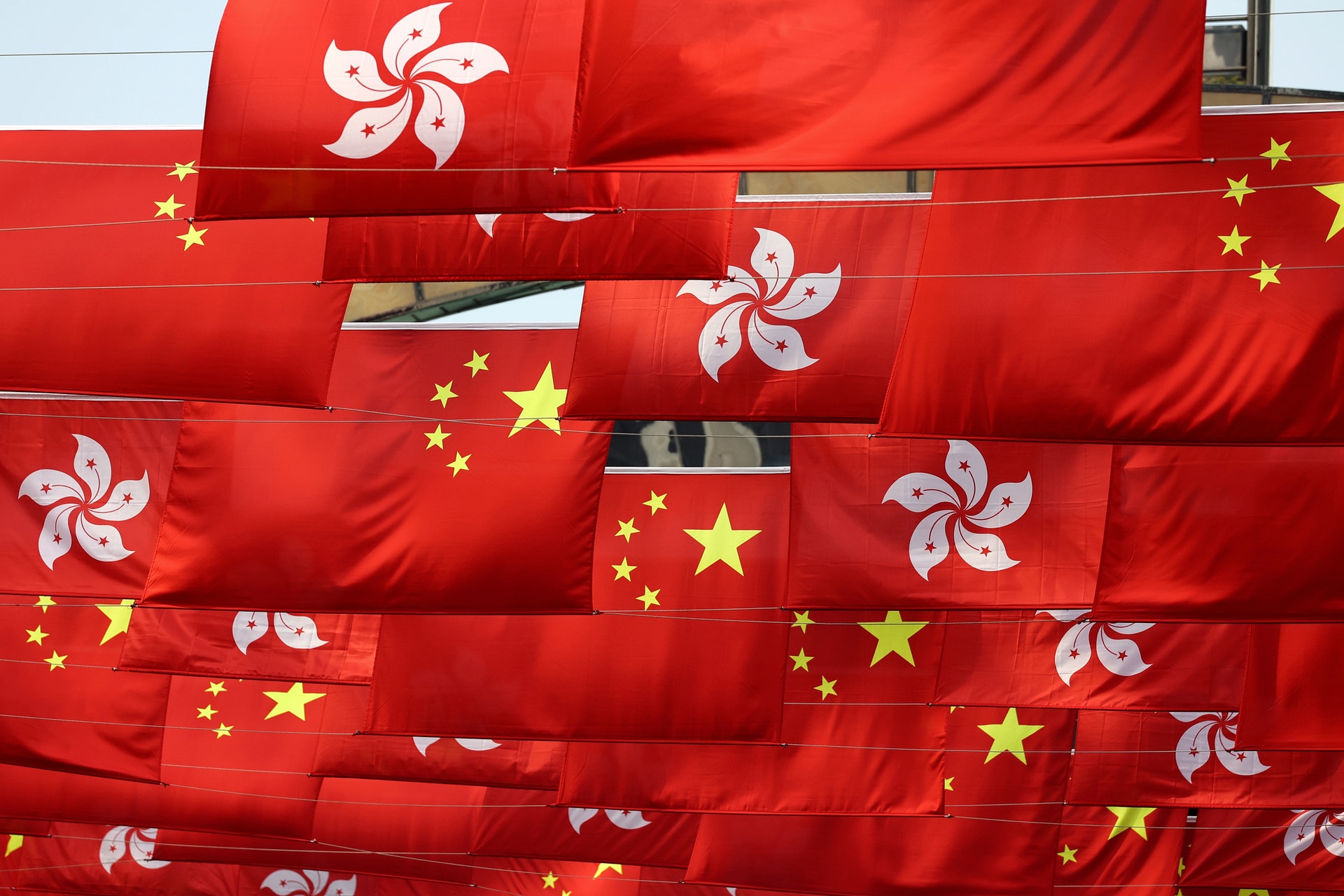 。(張浩維攝) 。(張浩維攝)